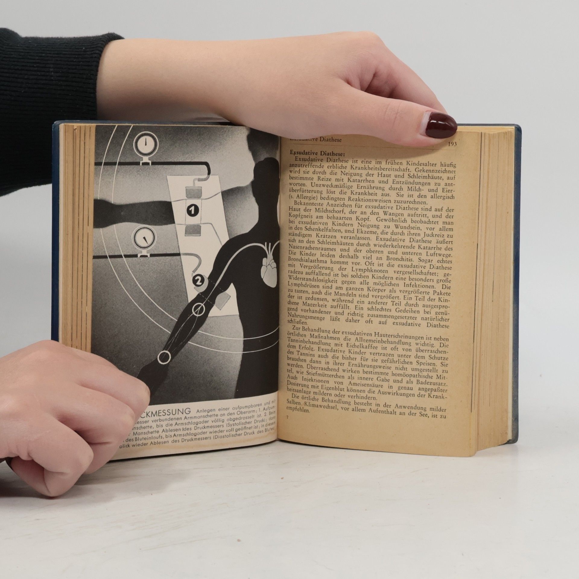 Joseph Briegel Handbuch der Gesundheit