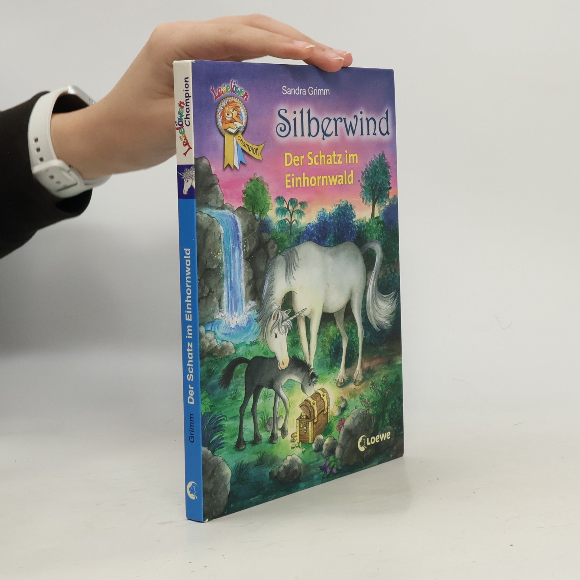 Sandra Grimm Silberwind. Der Schatz im Einhornwald