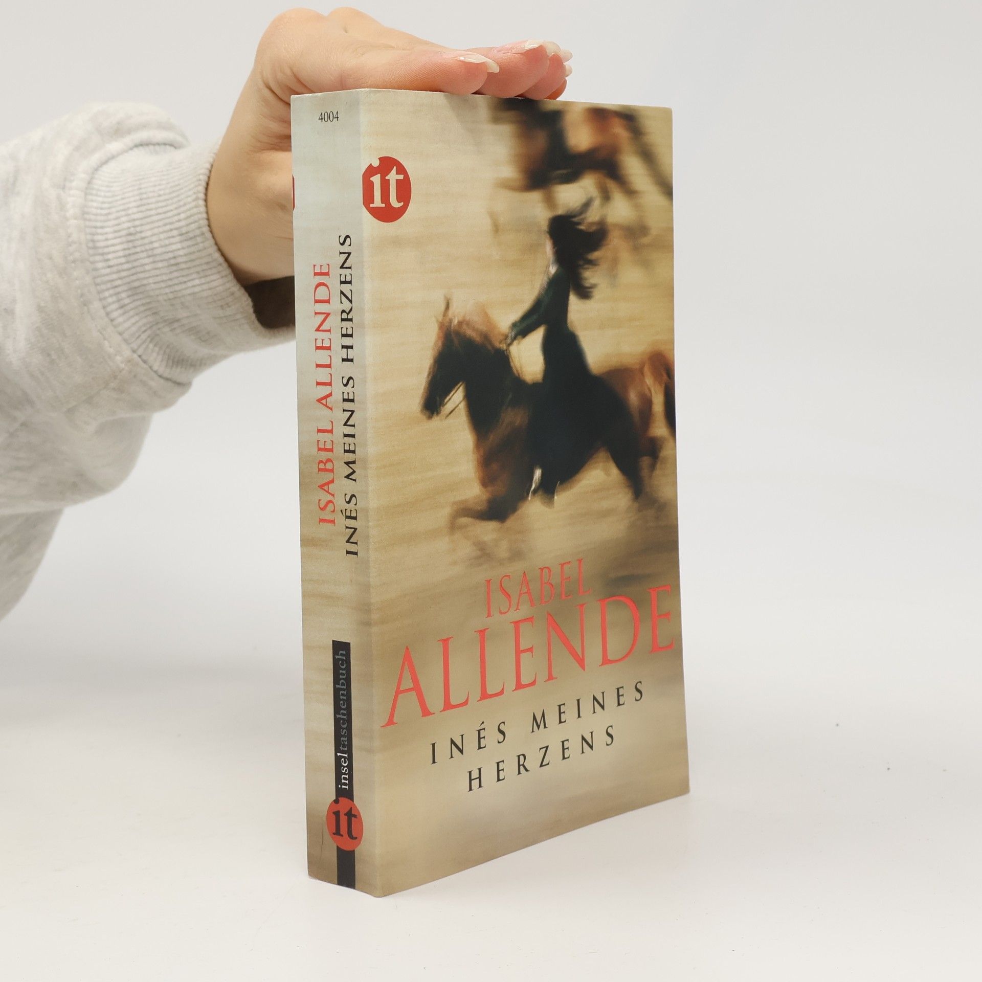 Isabel Allende Inés meines Herzens