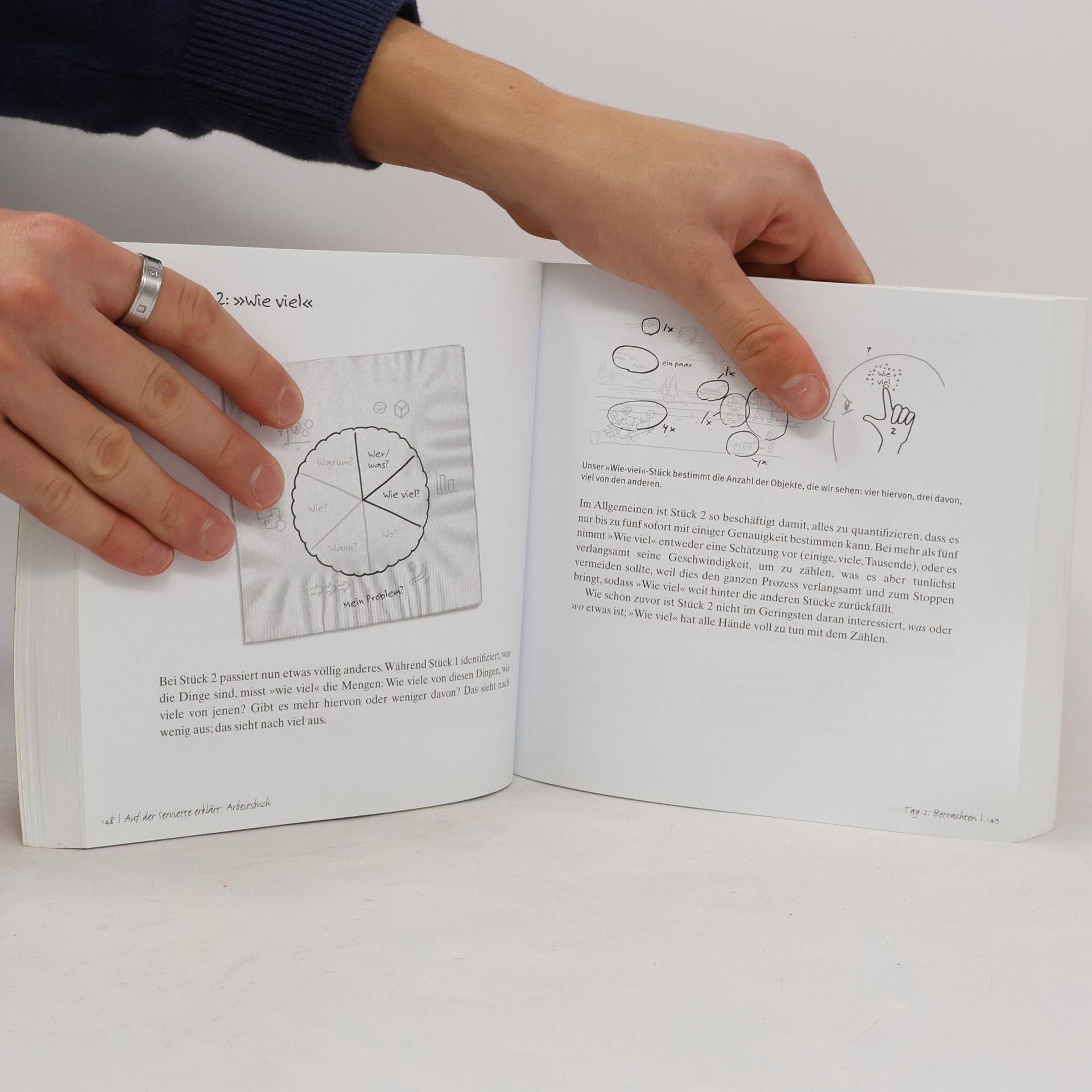 Dan Roam Auf der Serviette erklärt - Arbeitsbuch