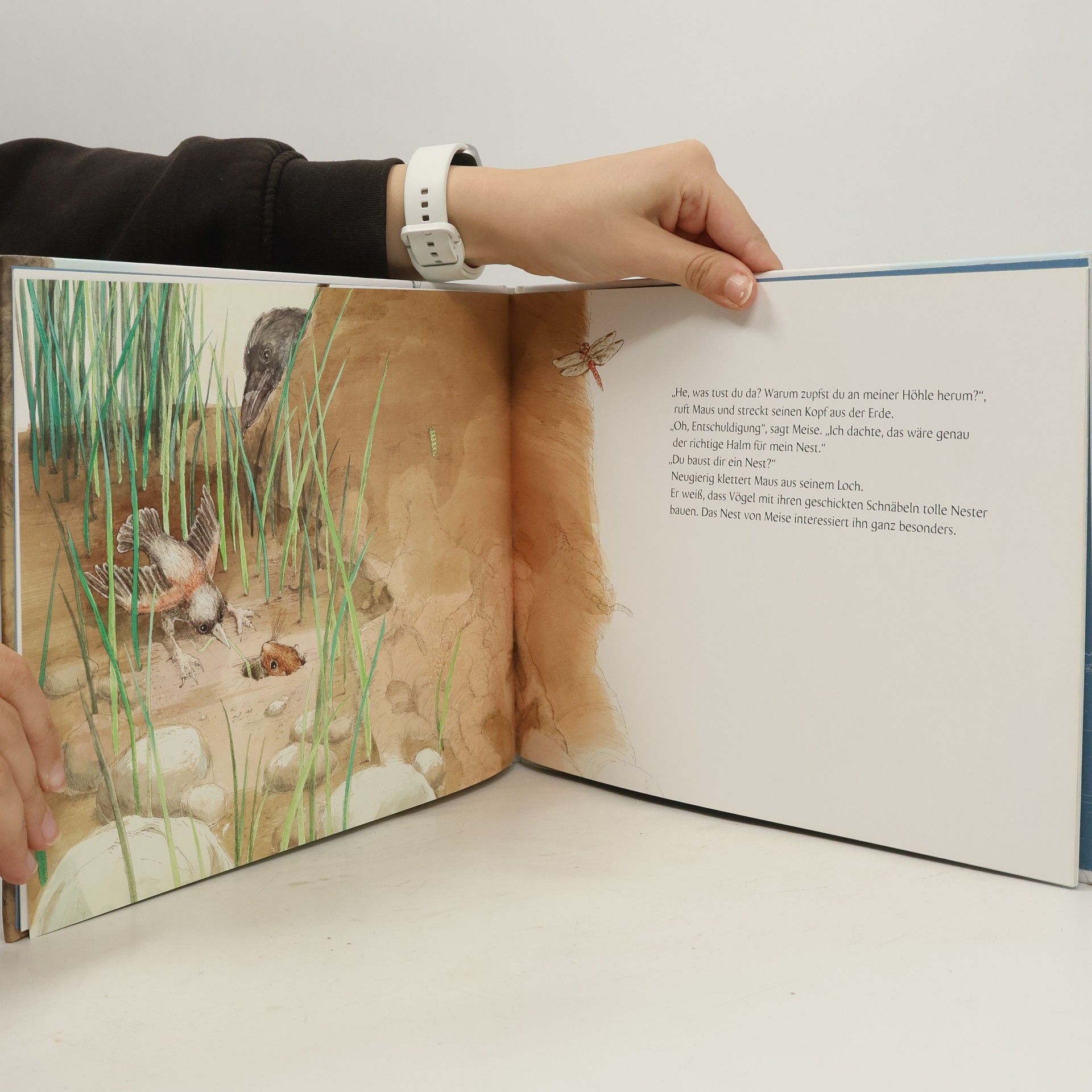 Susanne Timbers Maus will hoch hinaus
