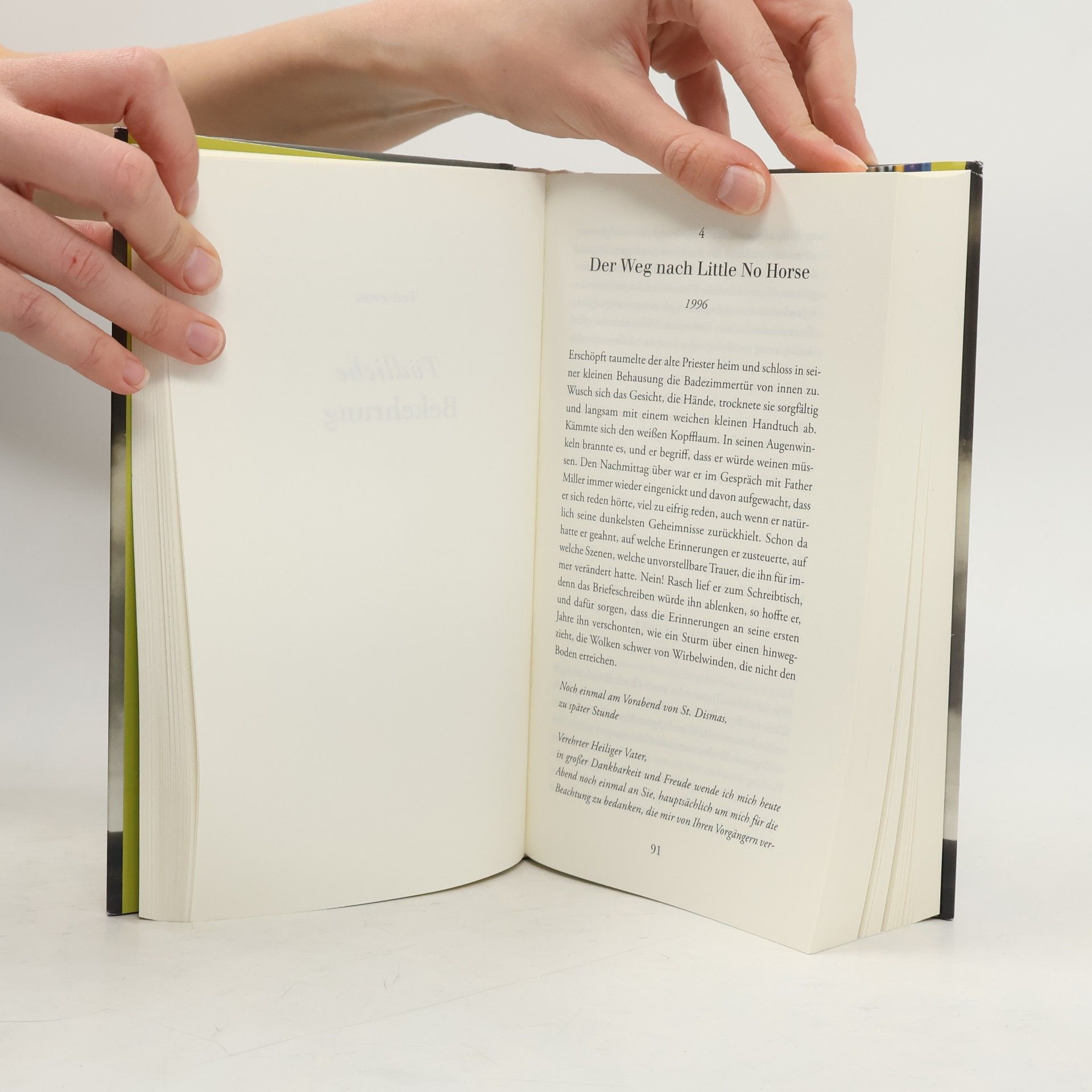 Louise Erdrich Die Wunder von Little No Horse