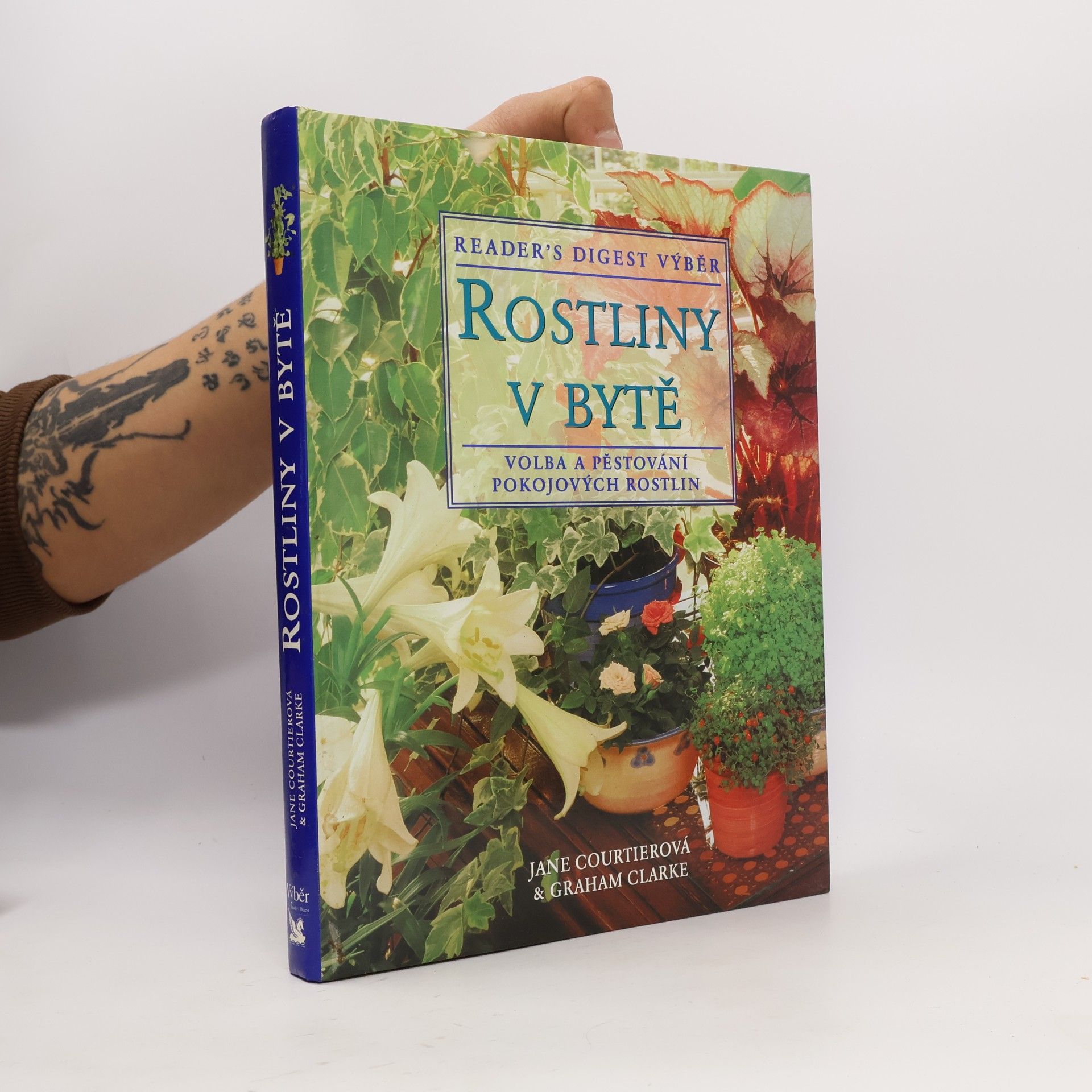 Rostliny v bytě