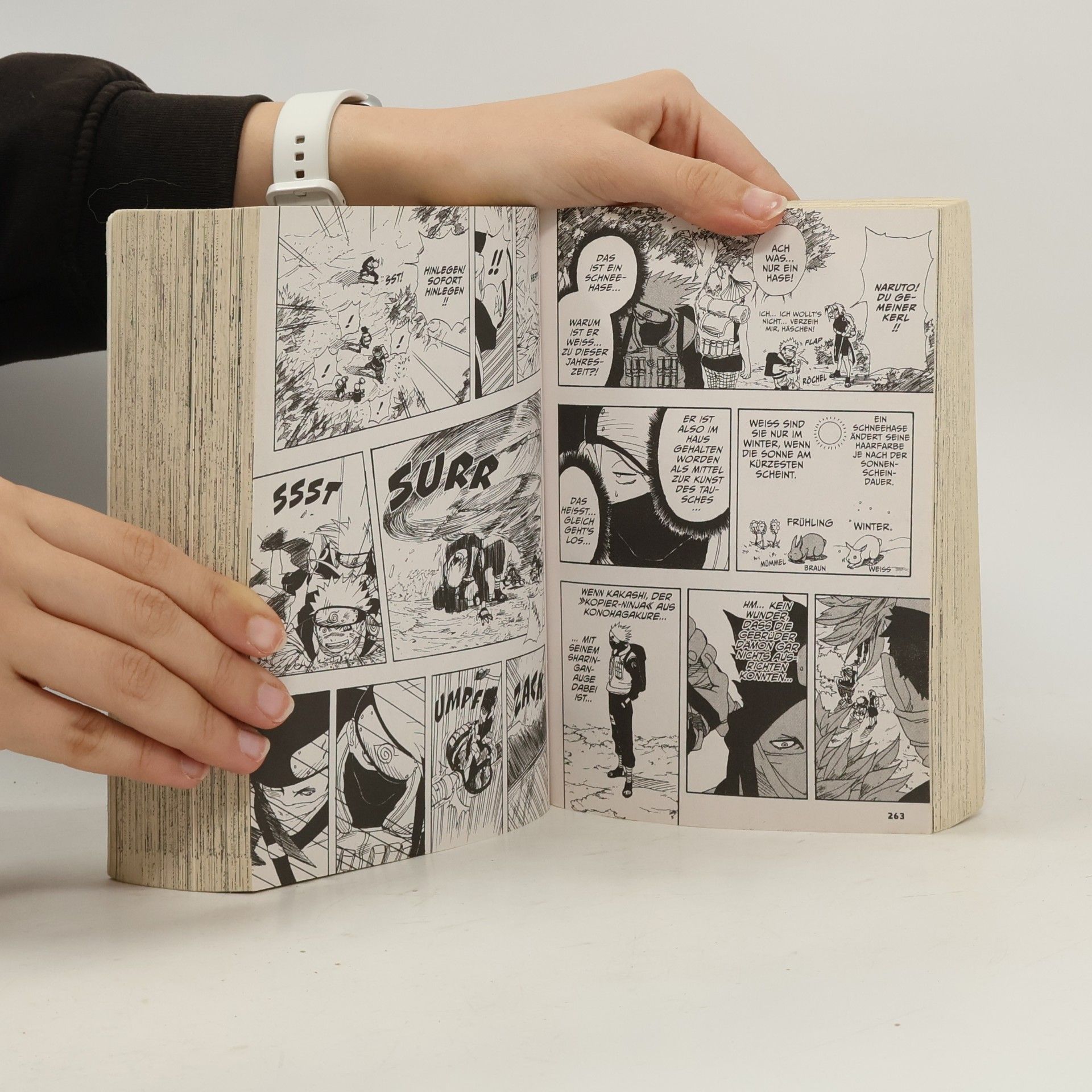 Masashi Kishimoto Naruto Massiv 01
