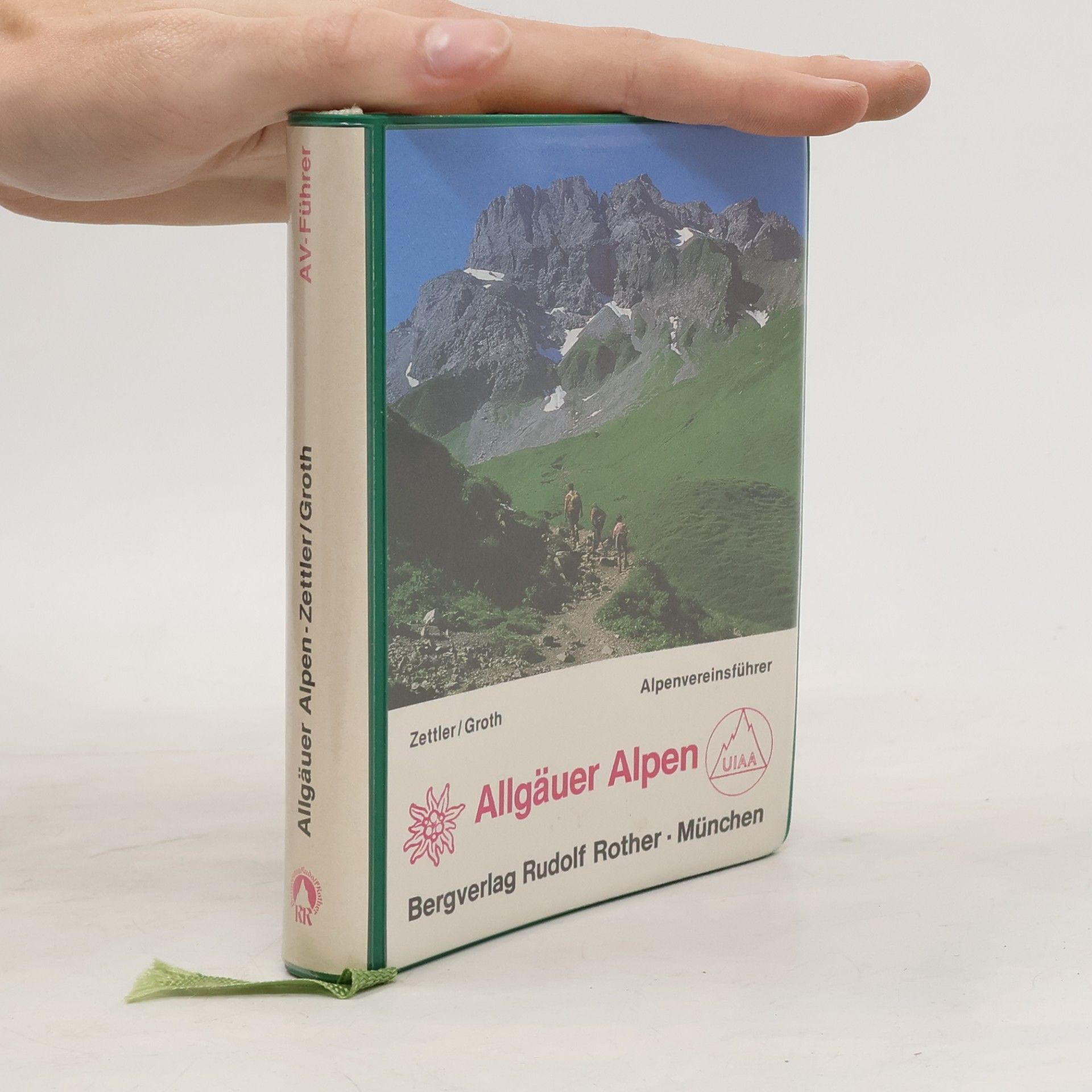 Alpenvereinsführer: Allgäuer Alpen
