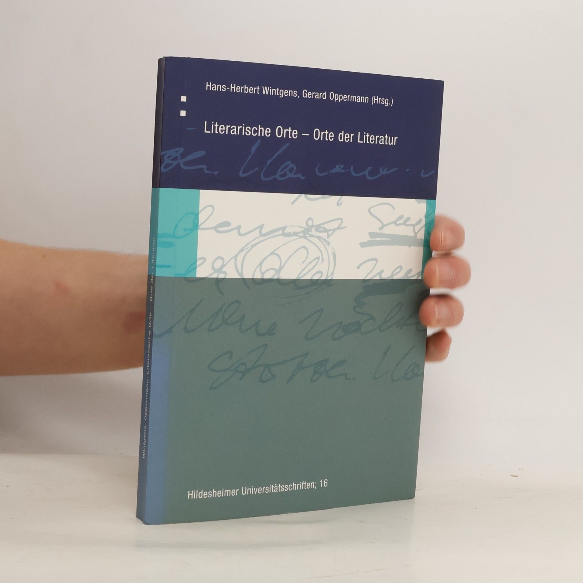 Hildesheimer Universitätsschriften - 16: Literarische Orte - Orte der Literatur
