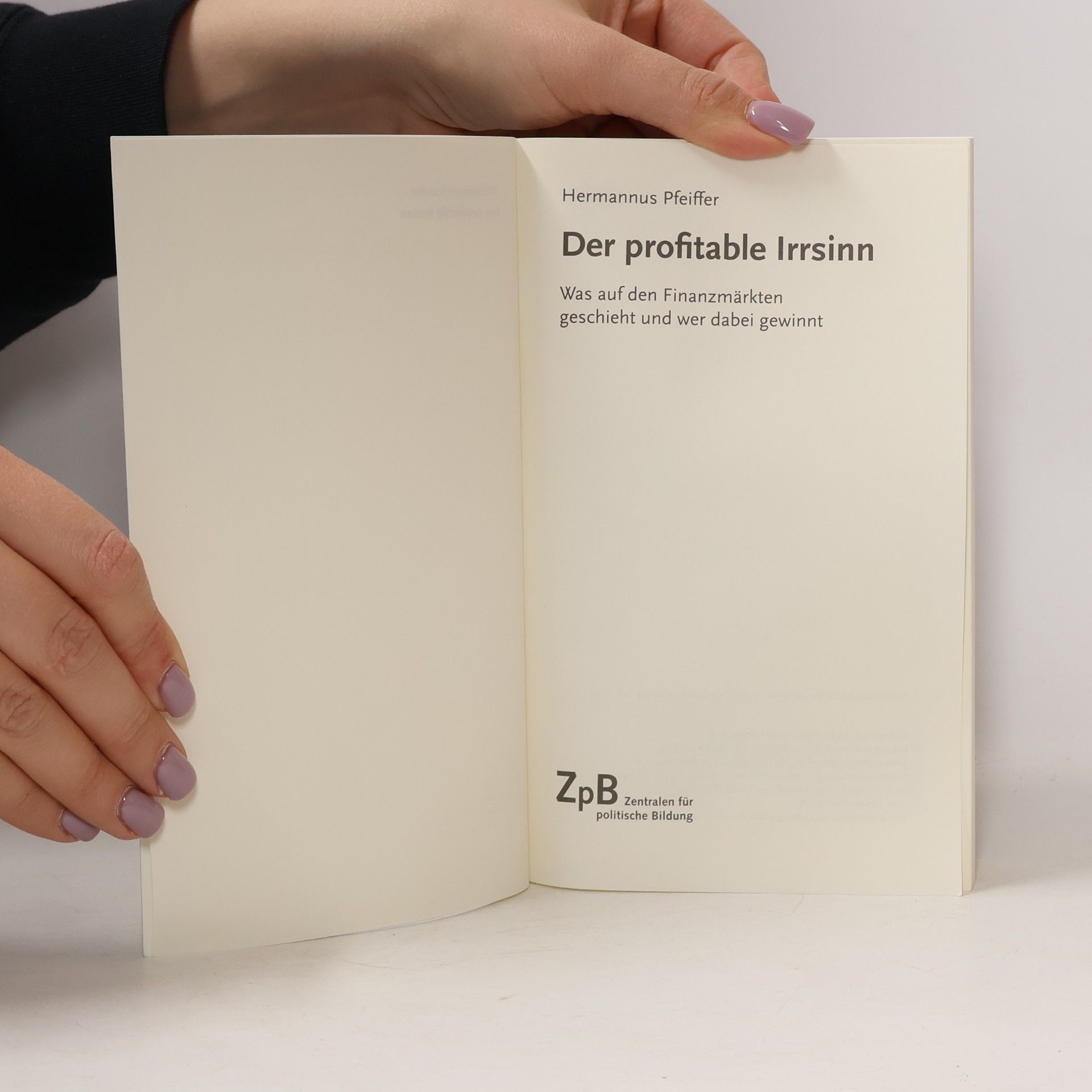 Hermannus Pfeiffer Der profitable Irrsinn