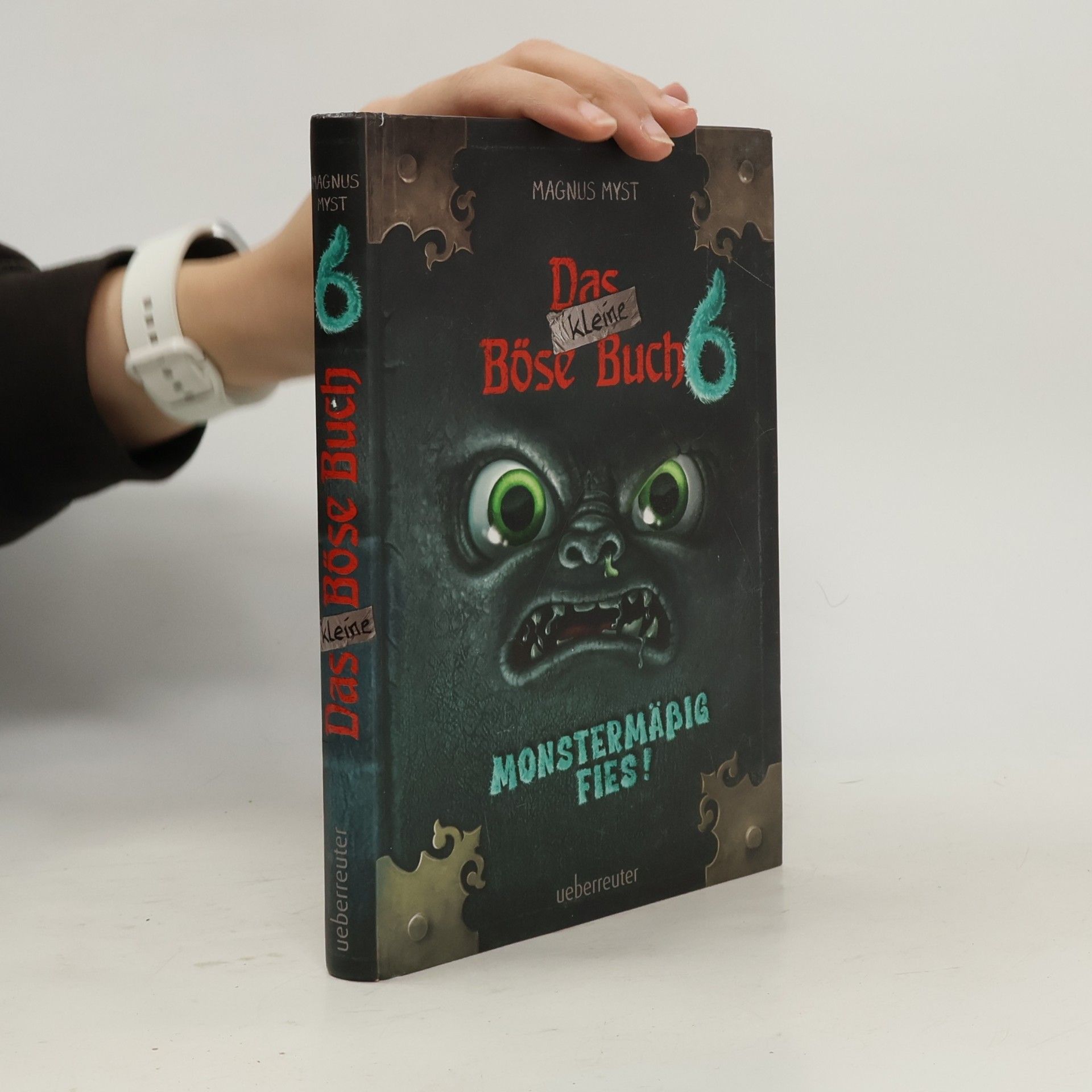 Das kleine Böse Buch 6 (Das kleine Böse Buch, Bd. 6)