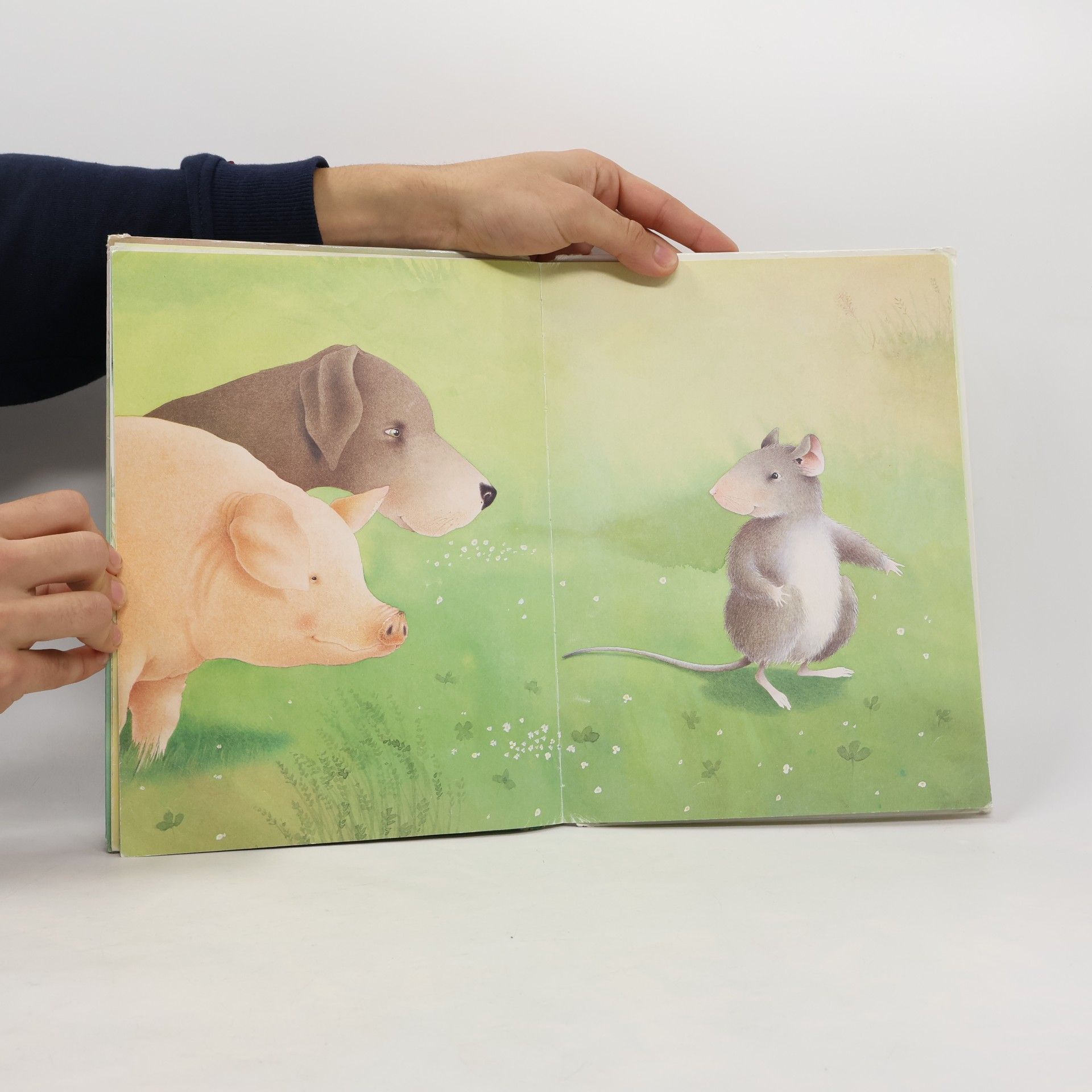 Ingrid Ostheeren Jonathan, die freche Maus