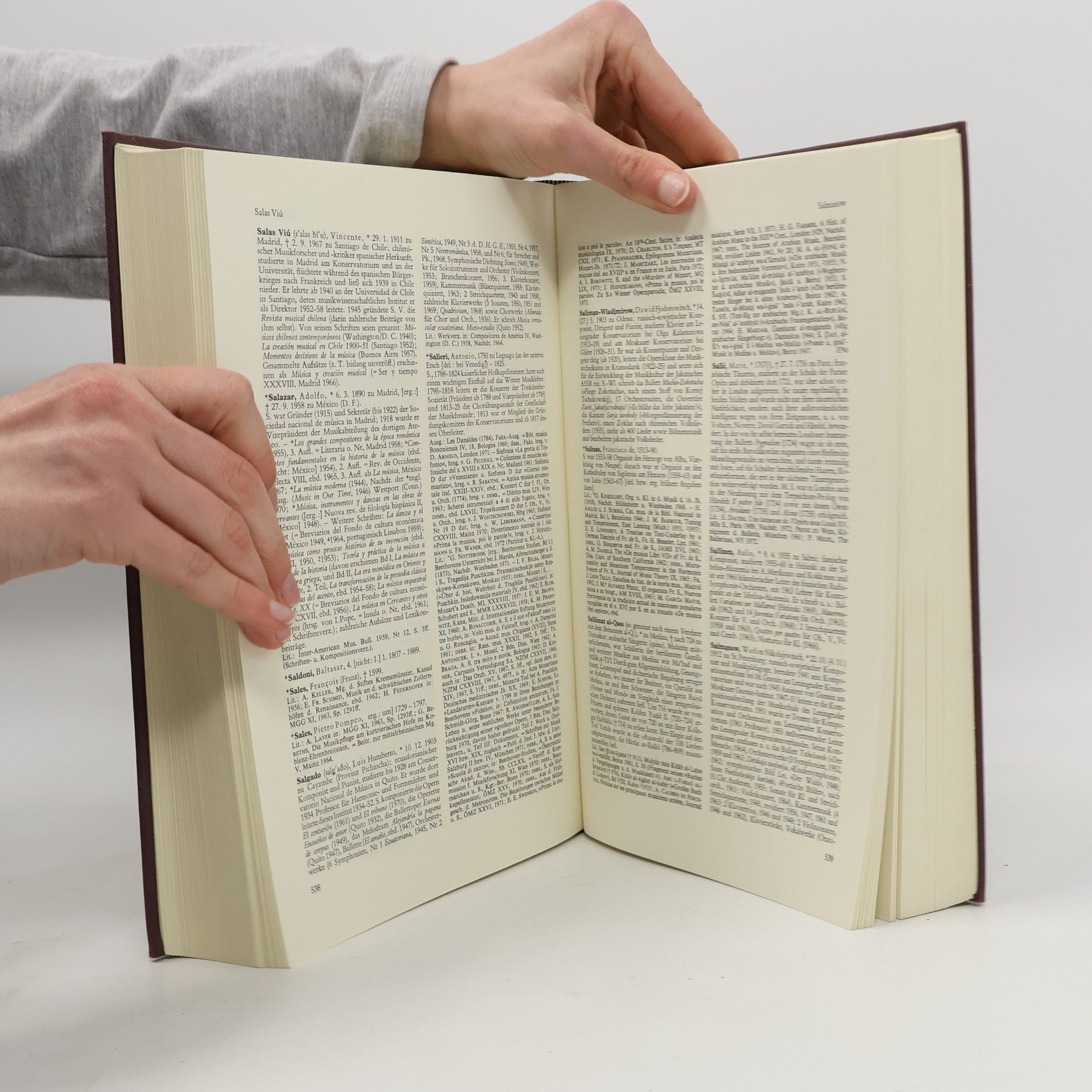 Brockhaus Riemann Musik Lexikon in 2 Bänden