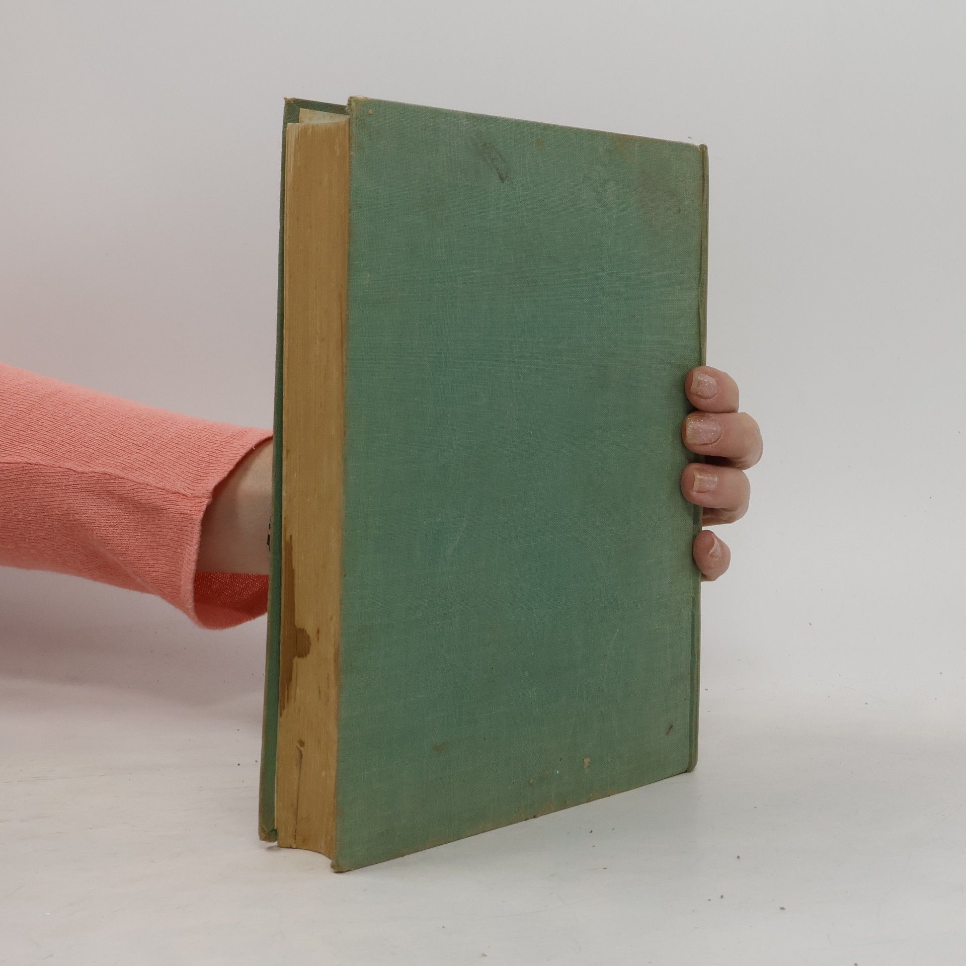 Dorothee Goebeler Kochbuch für Alle