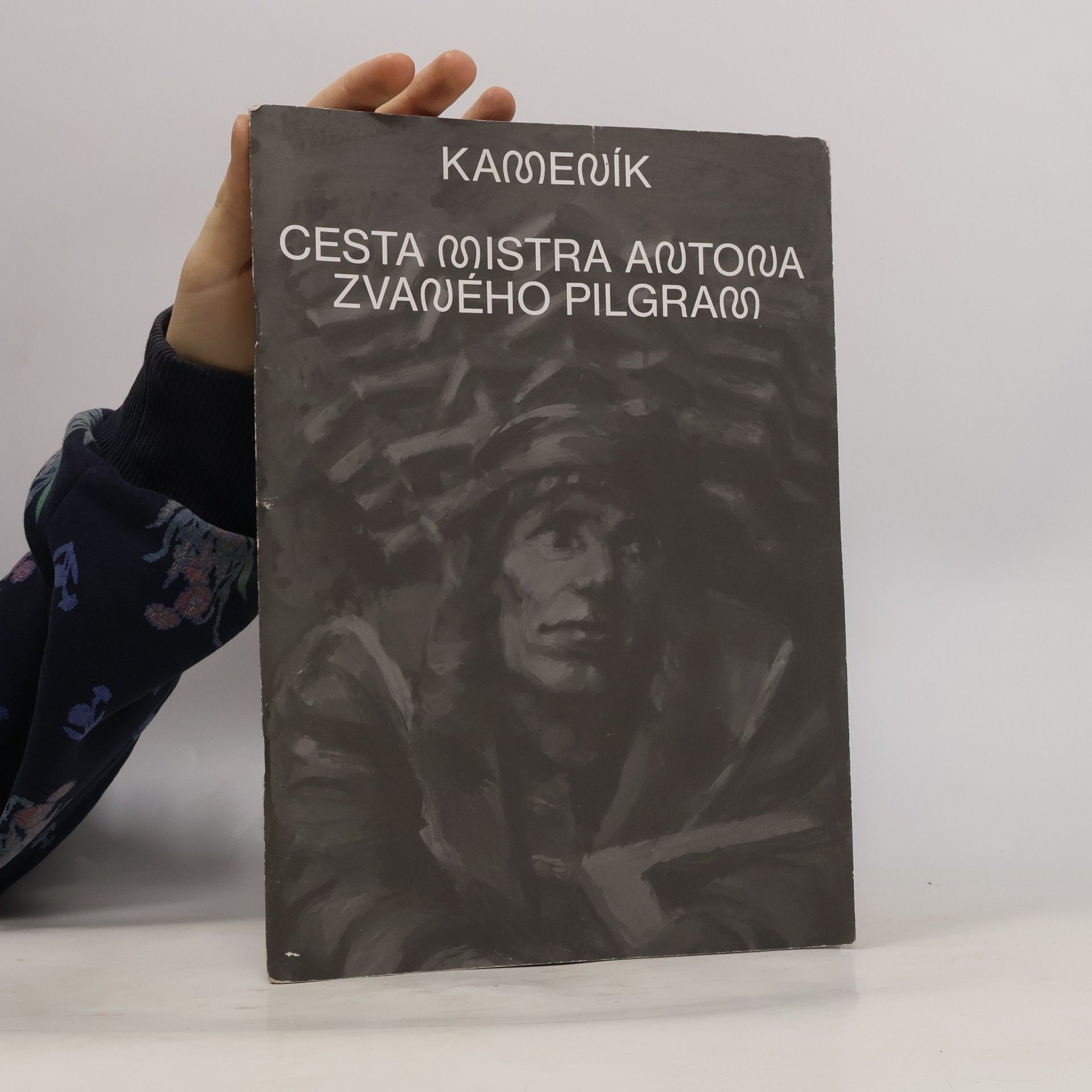 Kameník: Cesta mistra Antona zvaného Pilgram