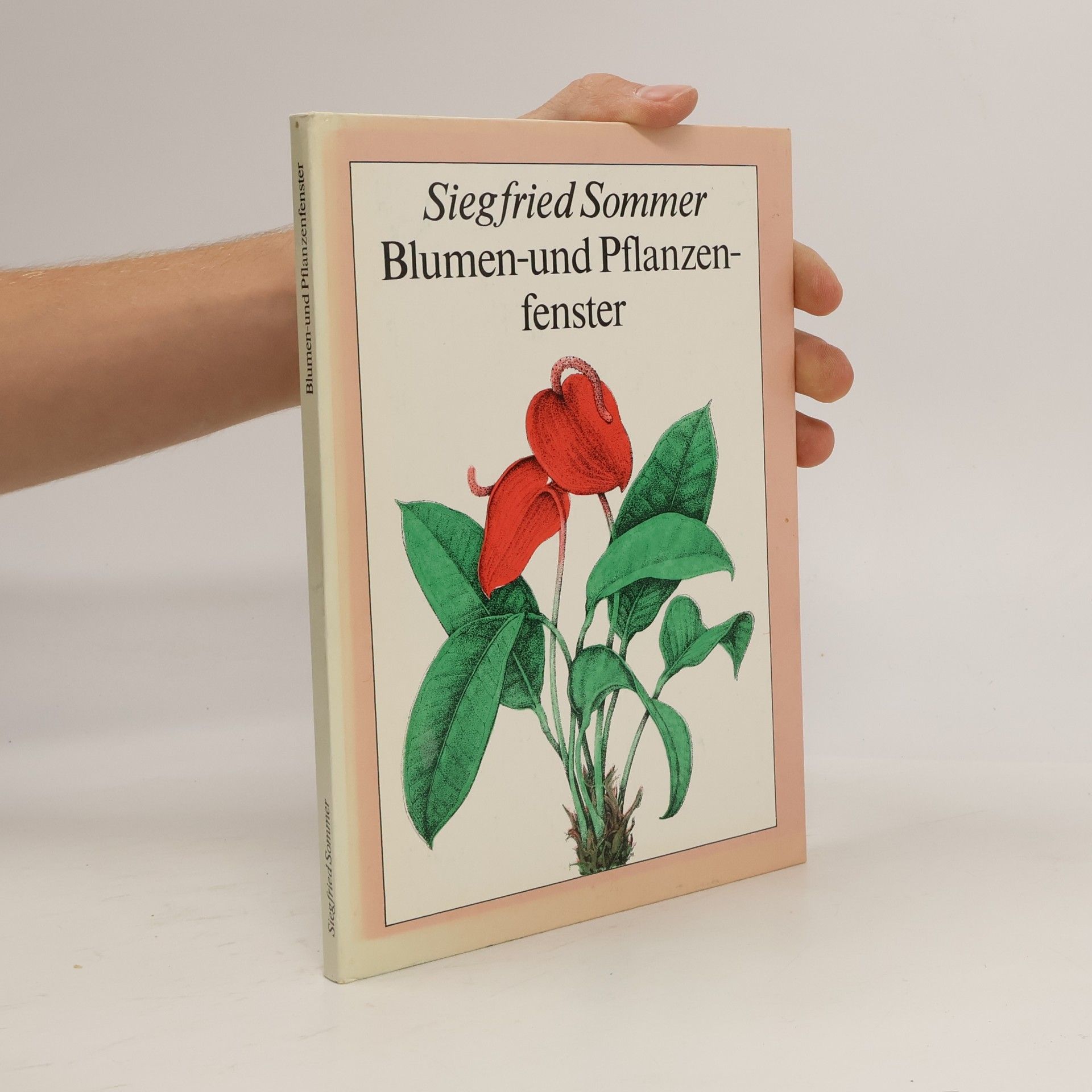 Blumen und Pflanzenfenster