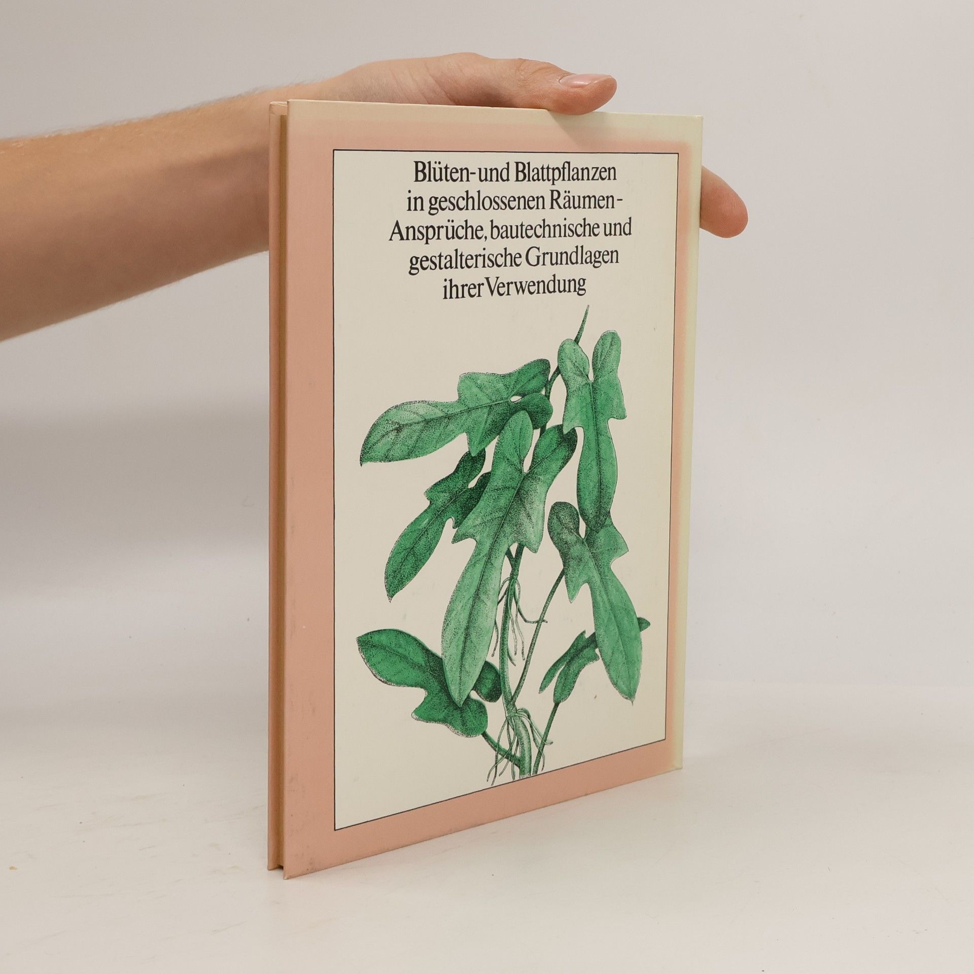 Siegfried Sommer Blumen und Pflanzenfenster