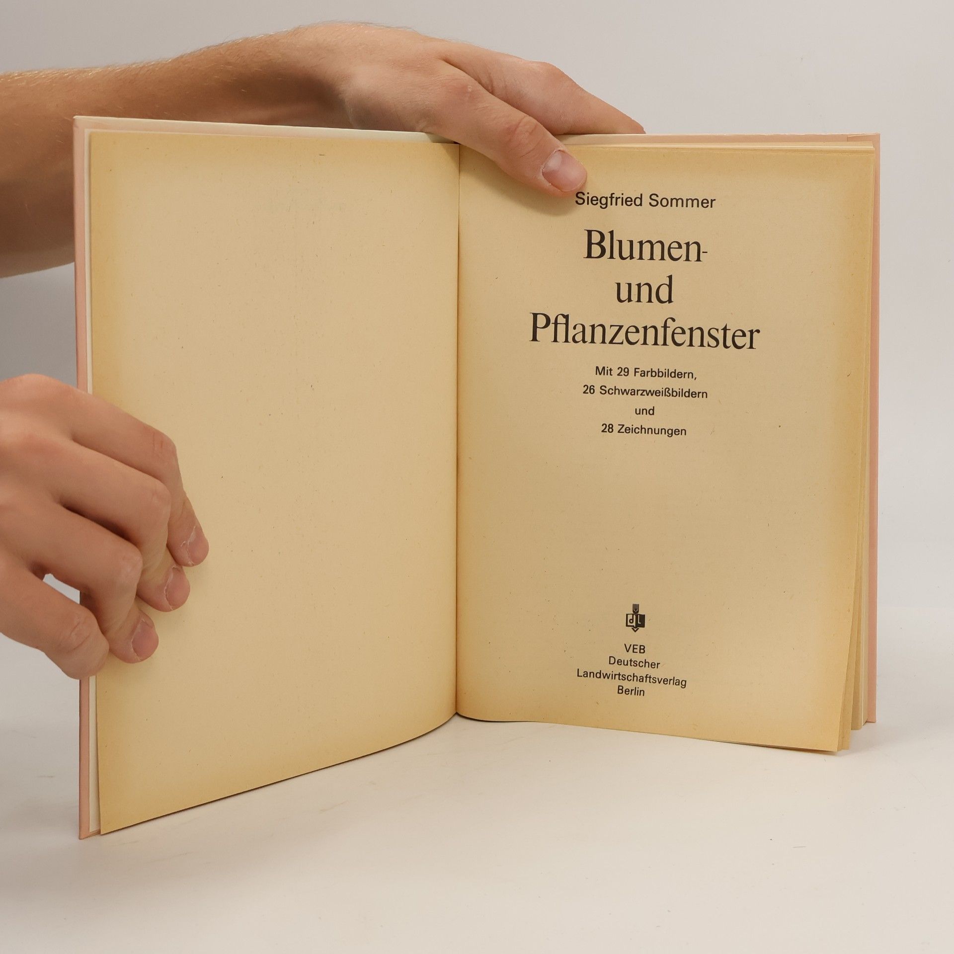 Siegfried Sommer Blumen und Pflanzenfenster