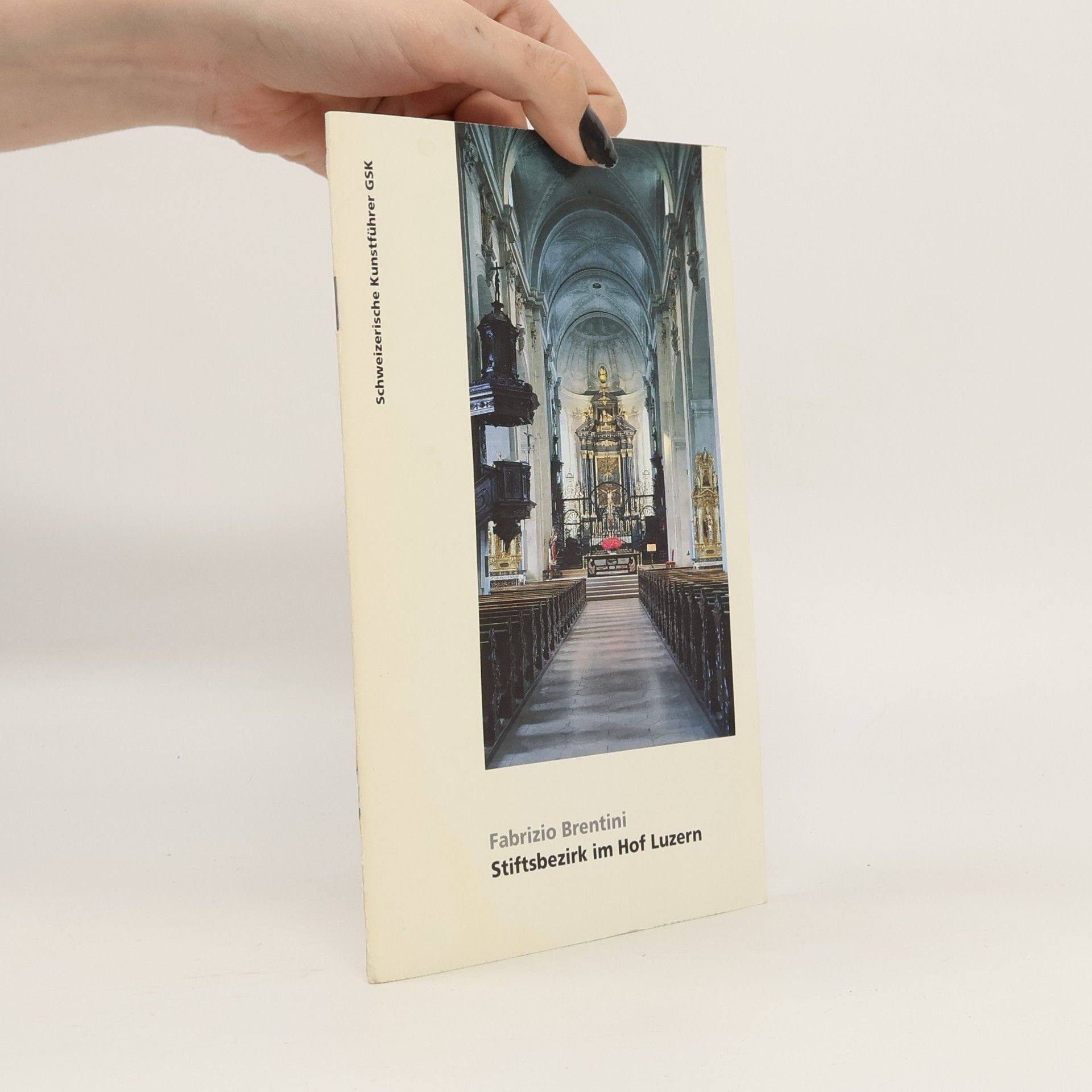 Fabrizio Brentini Schweizerische Kunstführer GSK - 53, Nr. 522/523: Stiftsbezirk im Hof Luzern