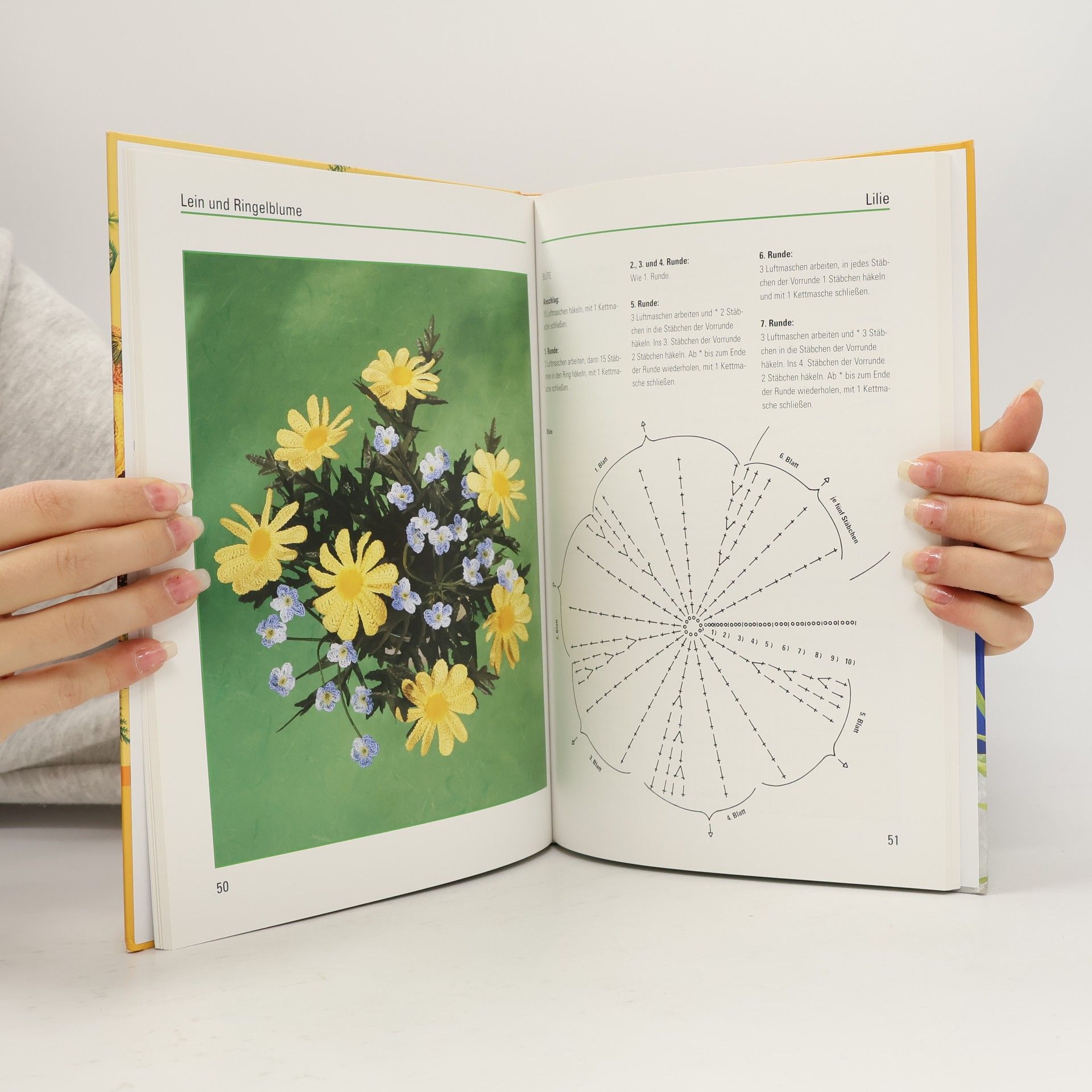 Eva Hambach Das grosse Häkelblumenbuch