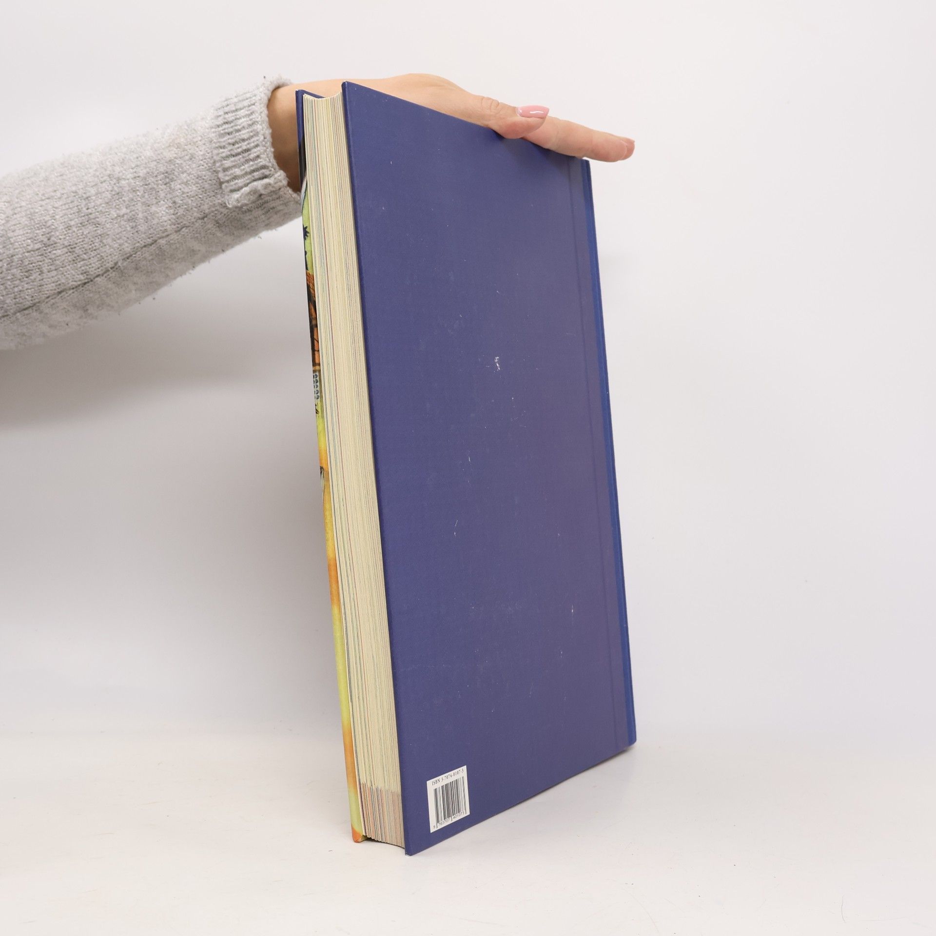 Kolektiv autorů Das bunte Buch