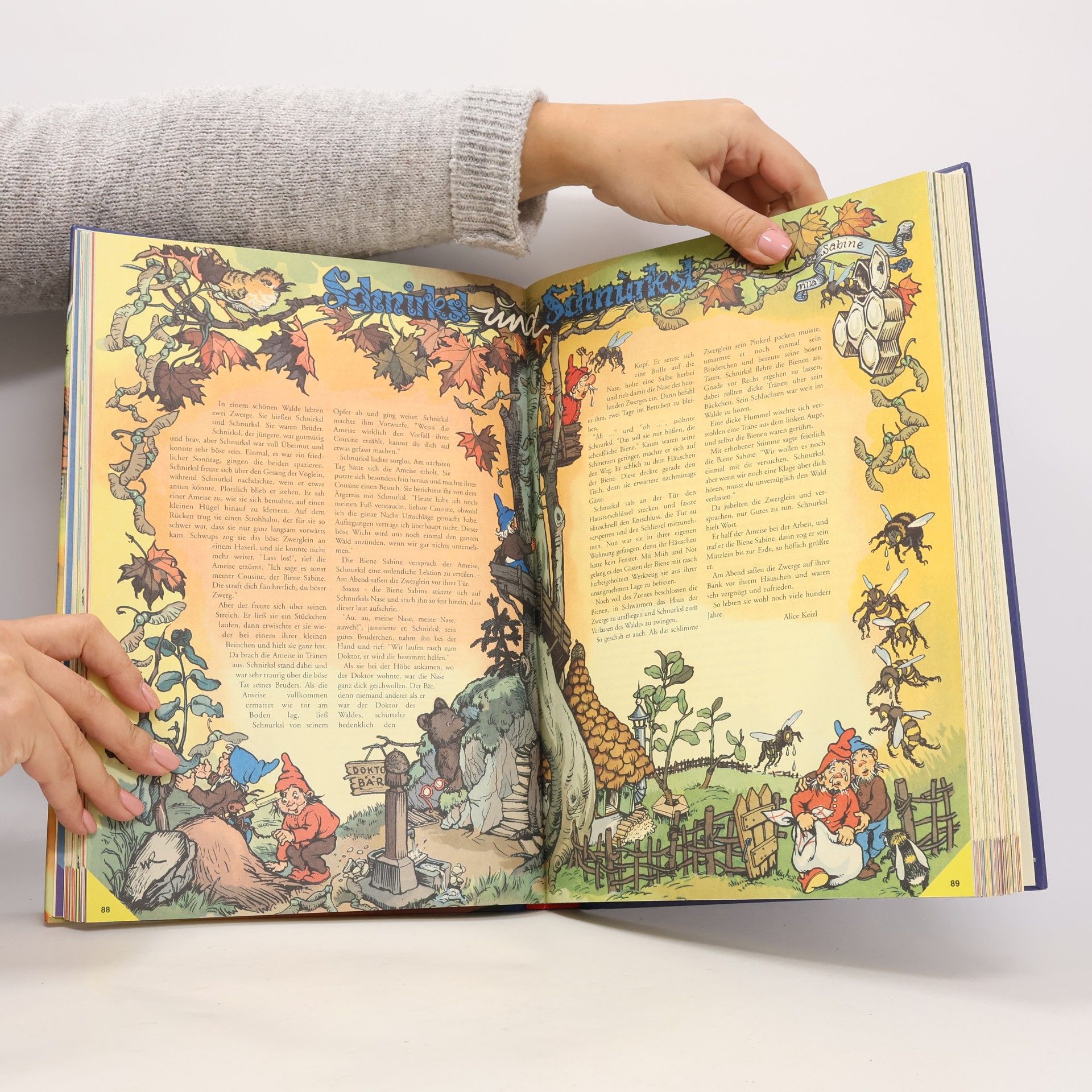 Kolektiv autorů Das bunte Buch