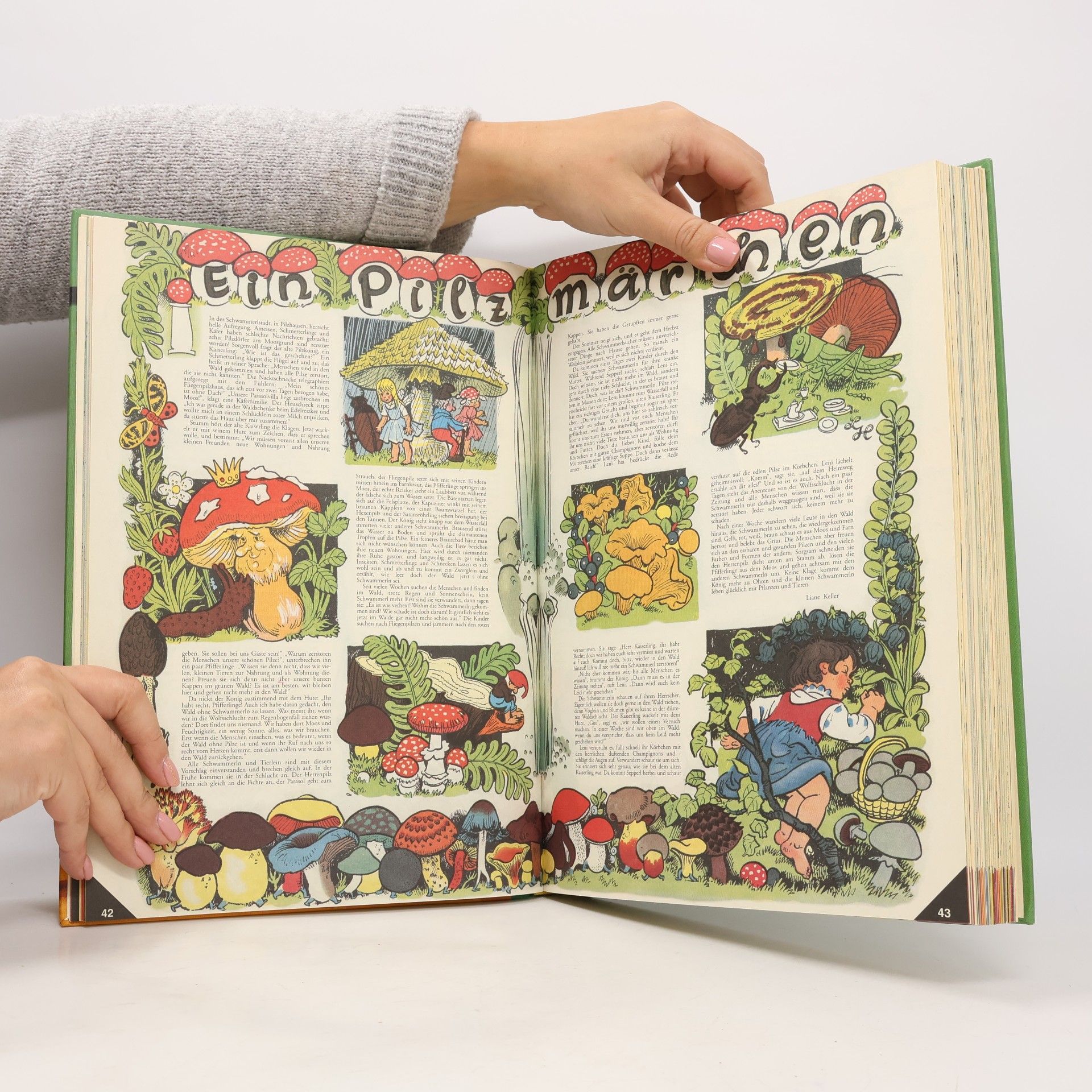 Erwin Czerwenka Das neue Bunte Buch. Grüne Ausgabe