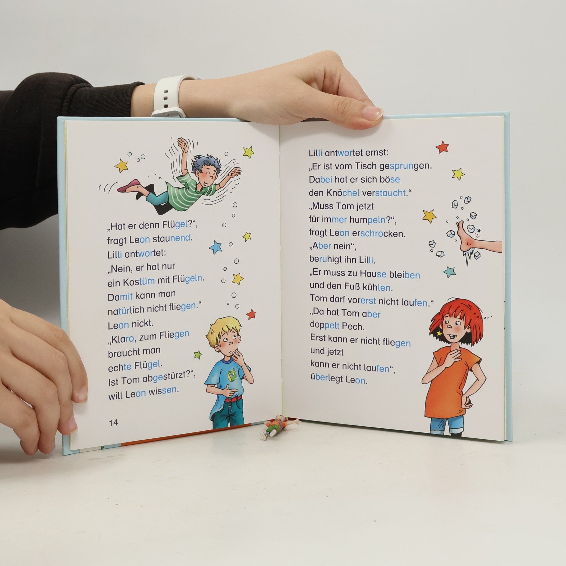 Brigit Rieger Hexe Lilli und der Elfenzauber