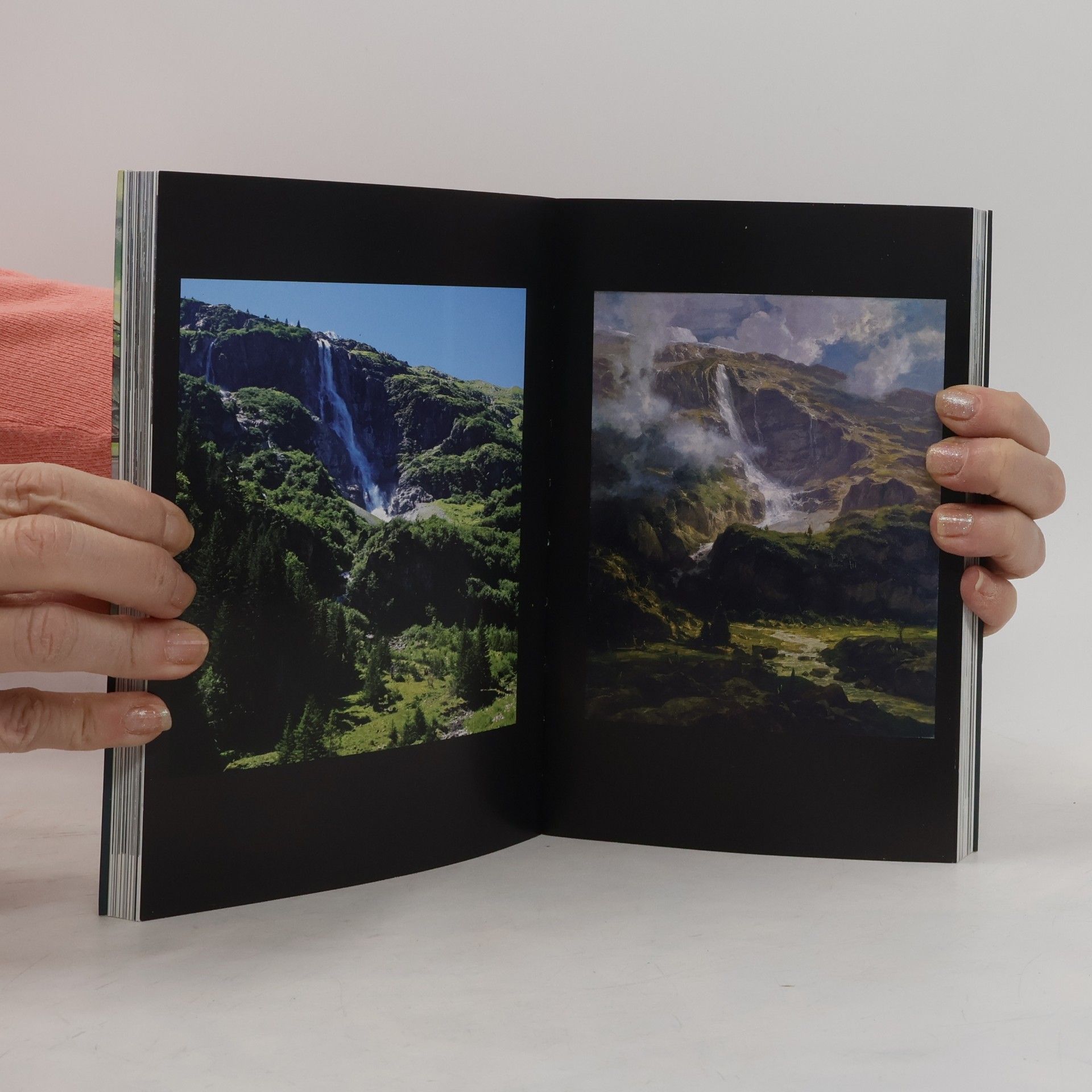 Ruth Michel Richter Wandern wie gemalt - Auf den Spuren bekannter Gemälde im Berner Oberland (Lesewanderbuch)