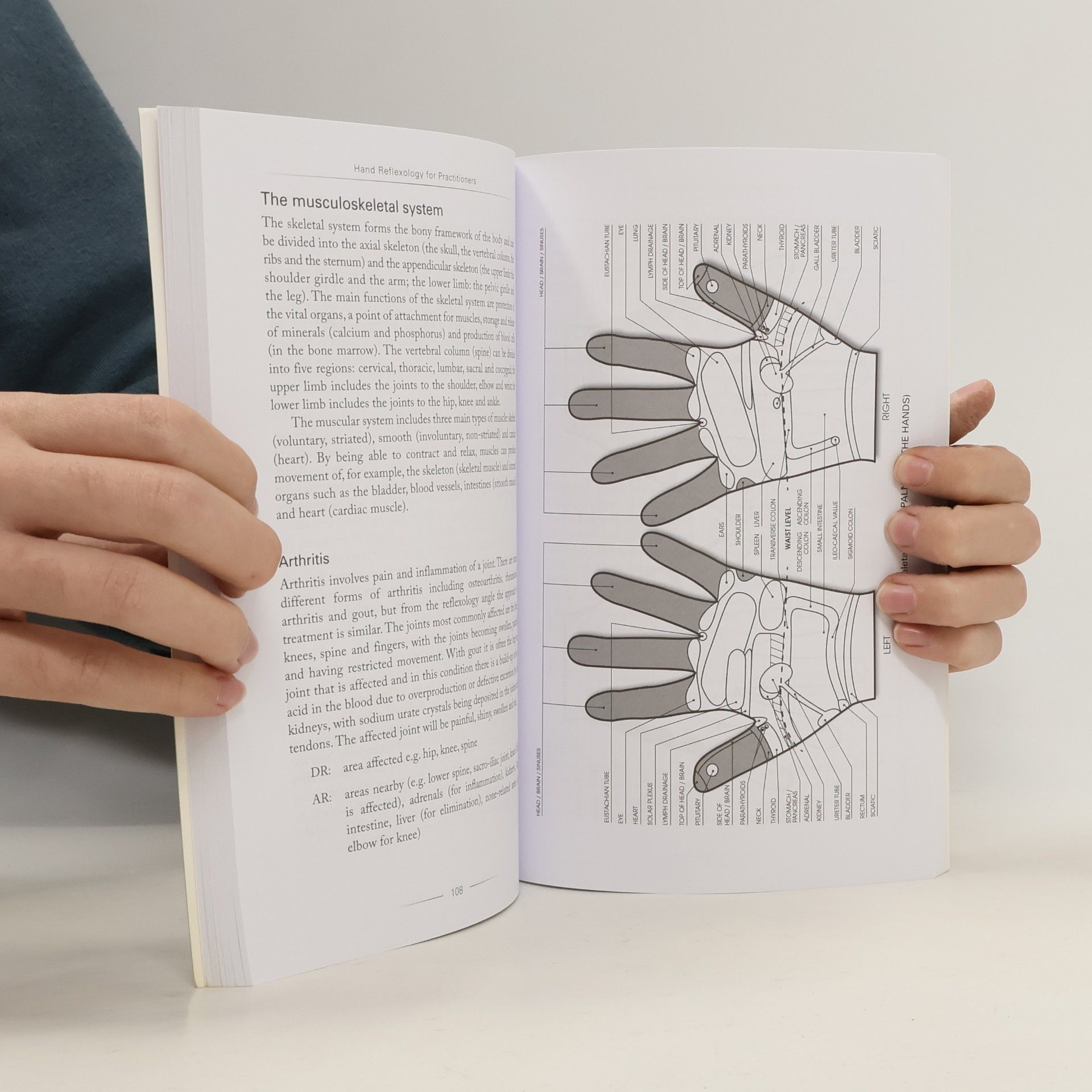 Nicola M. Hall Hand Reflexology for Practitioners