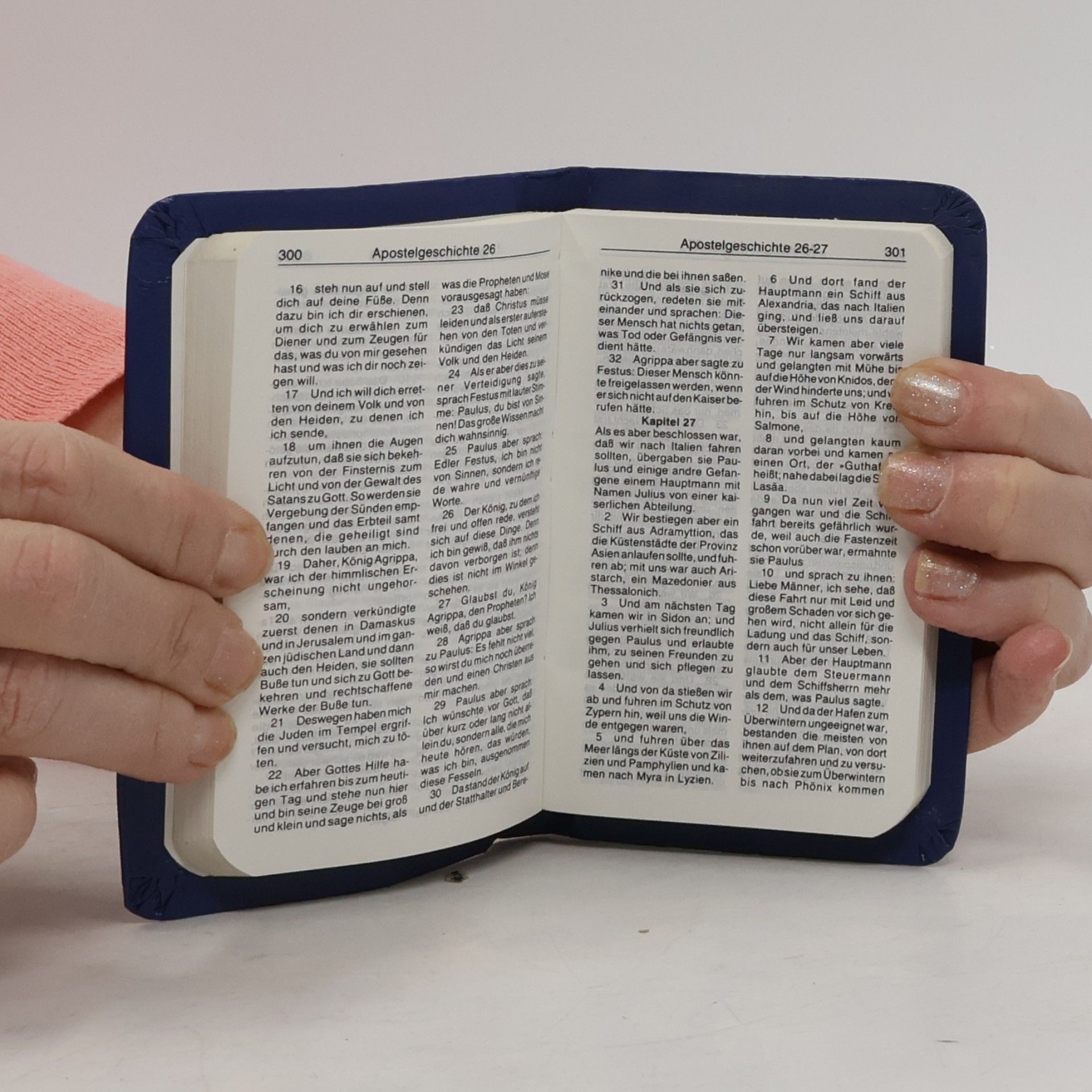 Kolektiv autorů Neues testament