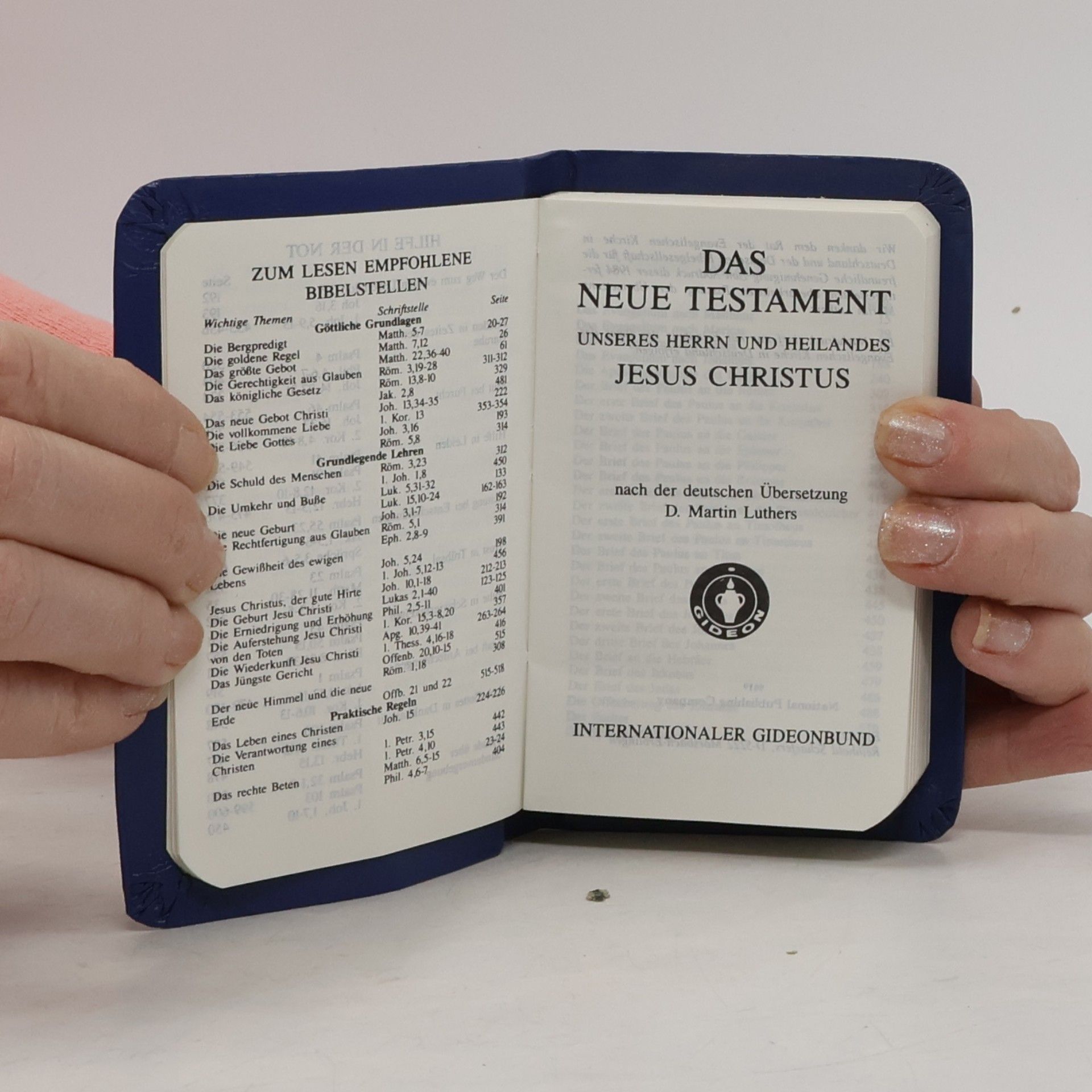 Kolektiv autorů Neues testament