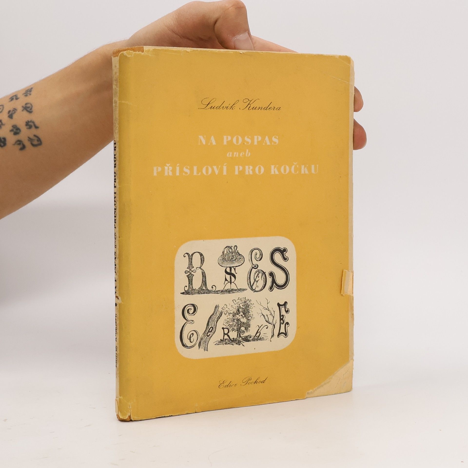 Ludvík Kundera Na pospas aneb přísloví pro kočku