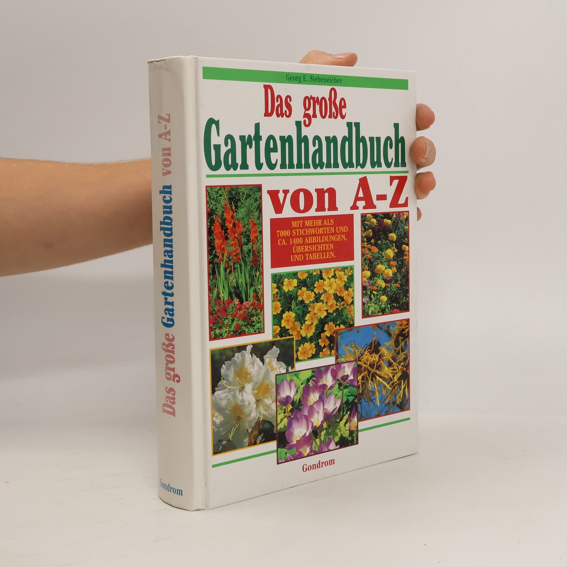 Jutta Debor-Sockel Das große Gartenhandbuch von A - Z
