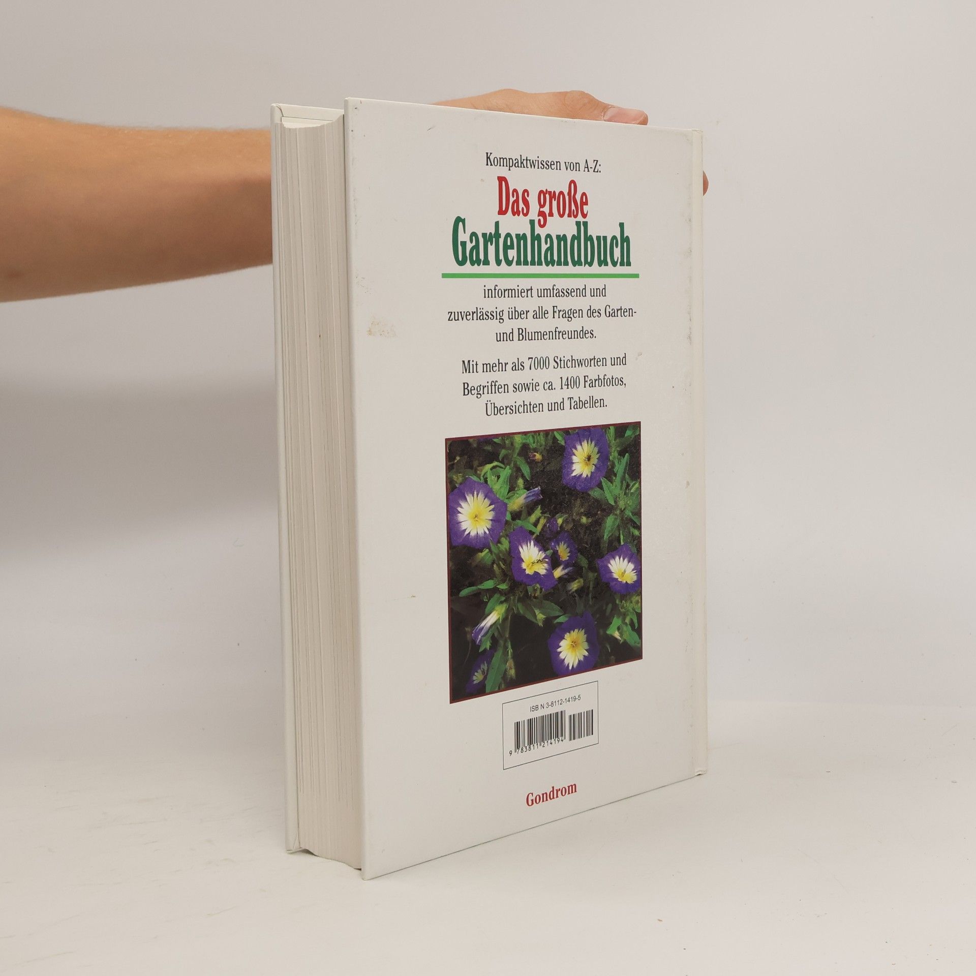 Jutta Debor-Sockel Das große Gartenhandbuch von A - Z