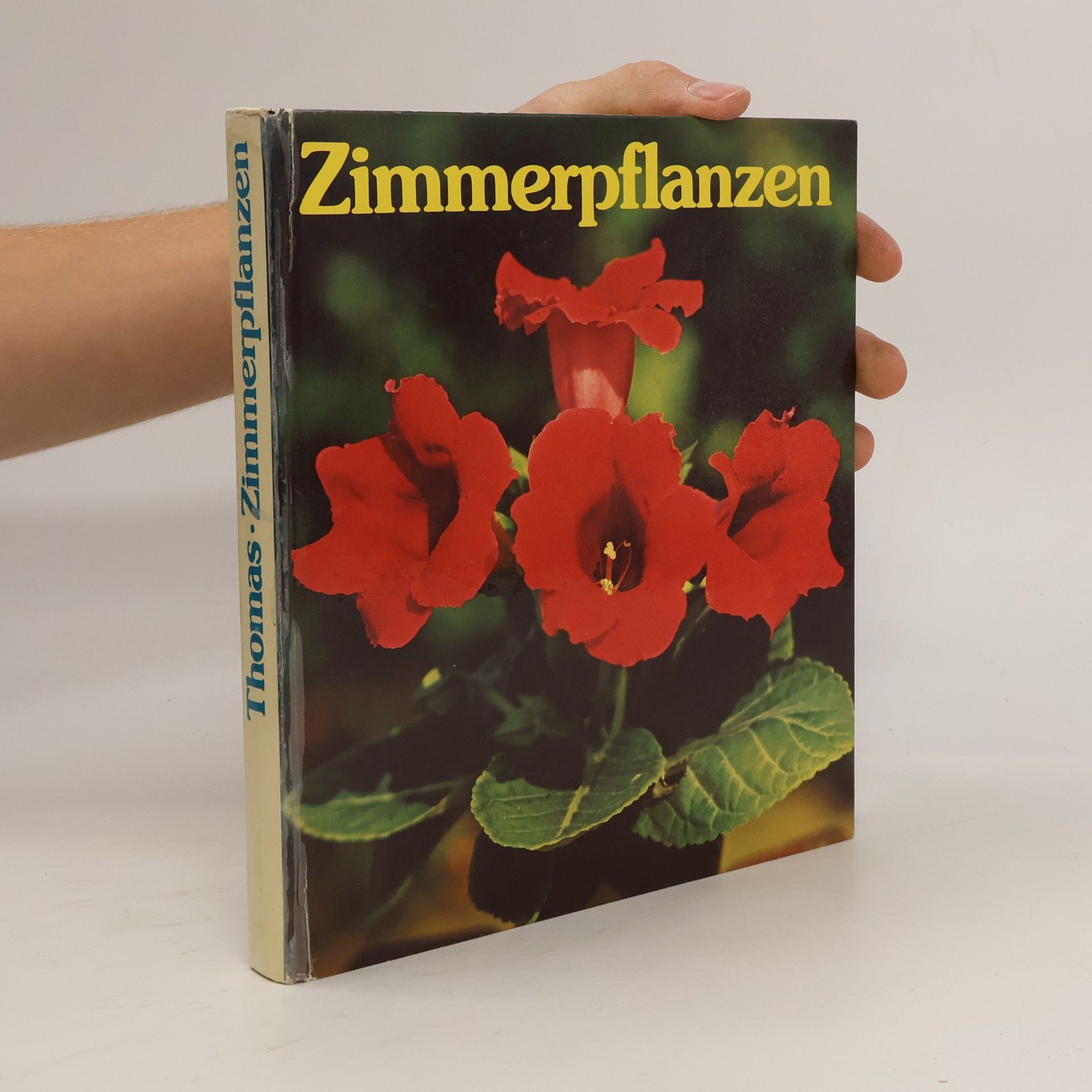 Editha Thomas Zimmerpflanzen