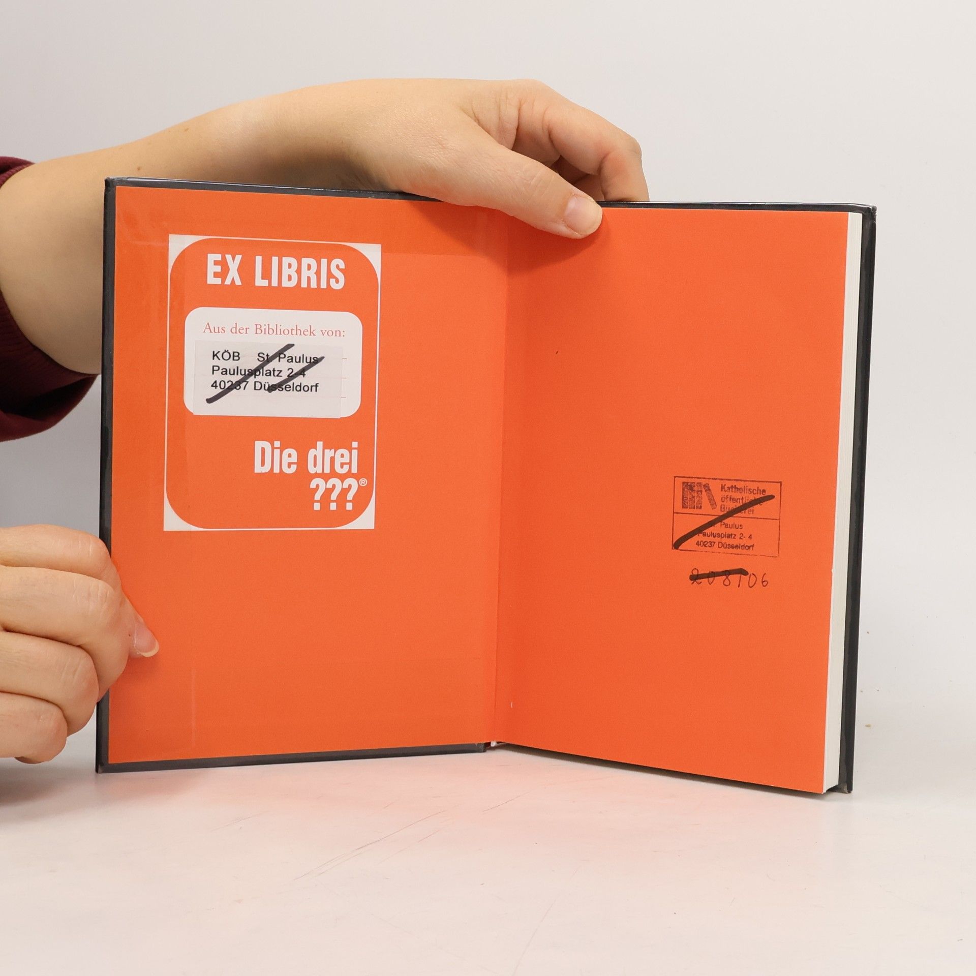 André Marx Der Fluch des Drachen