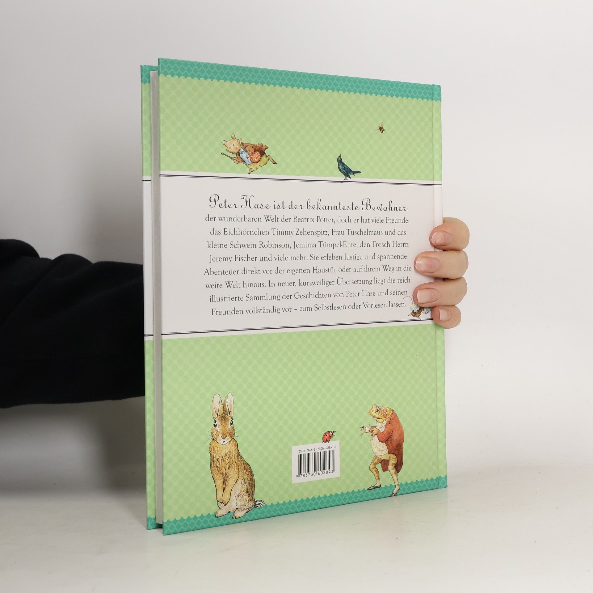 Beatrix Potter Sämtliche Geschichten von Peter Hase und seinen Freunden