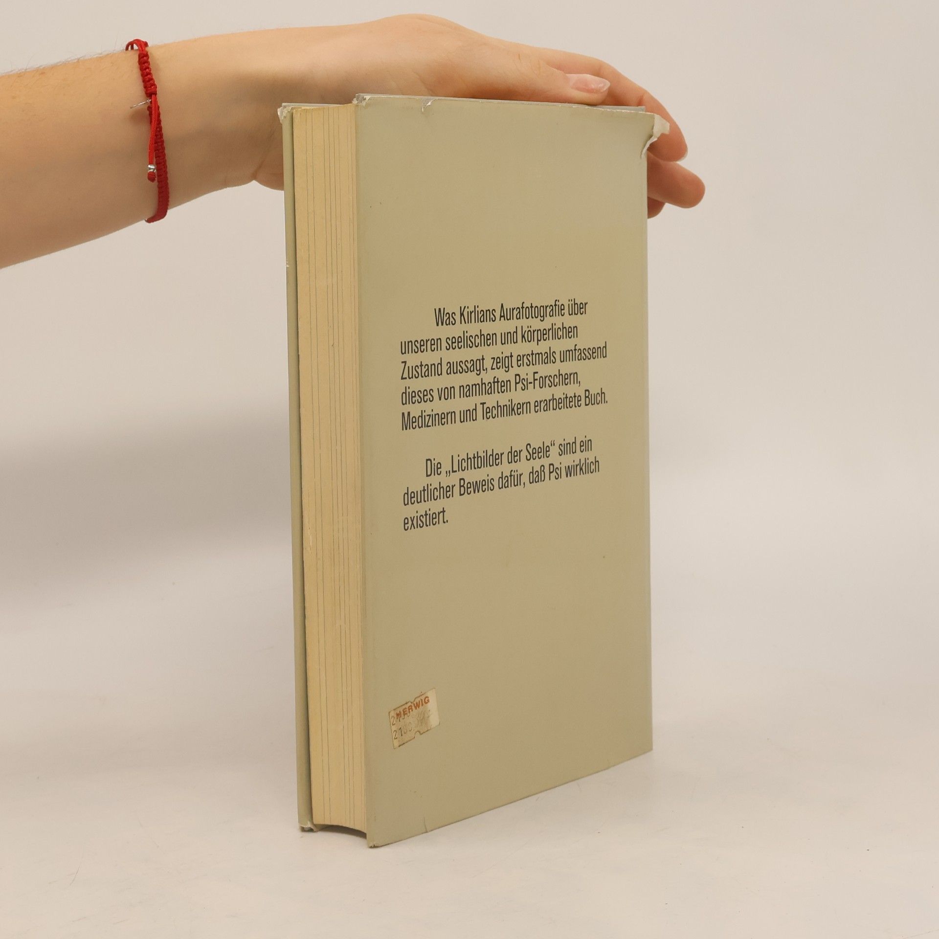 Daniel Rubin Lichtbilder der Seele