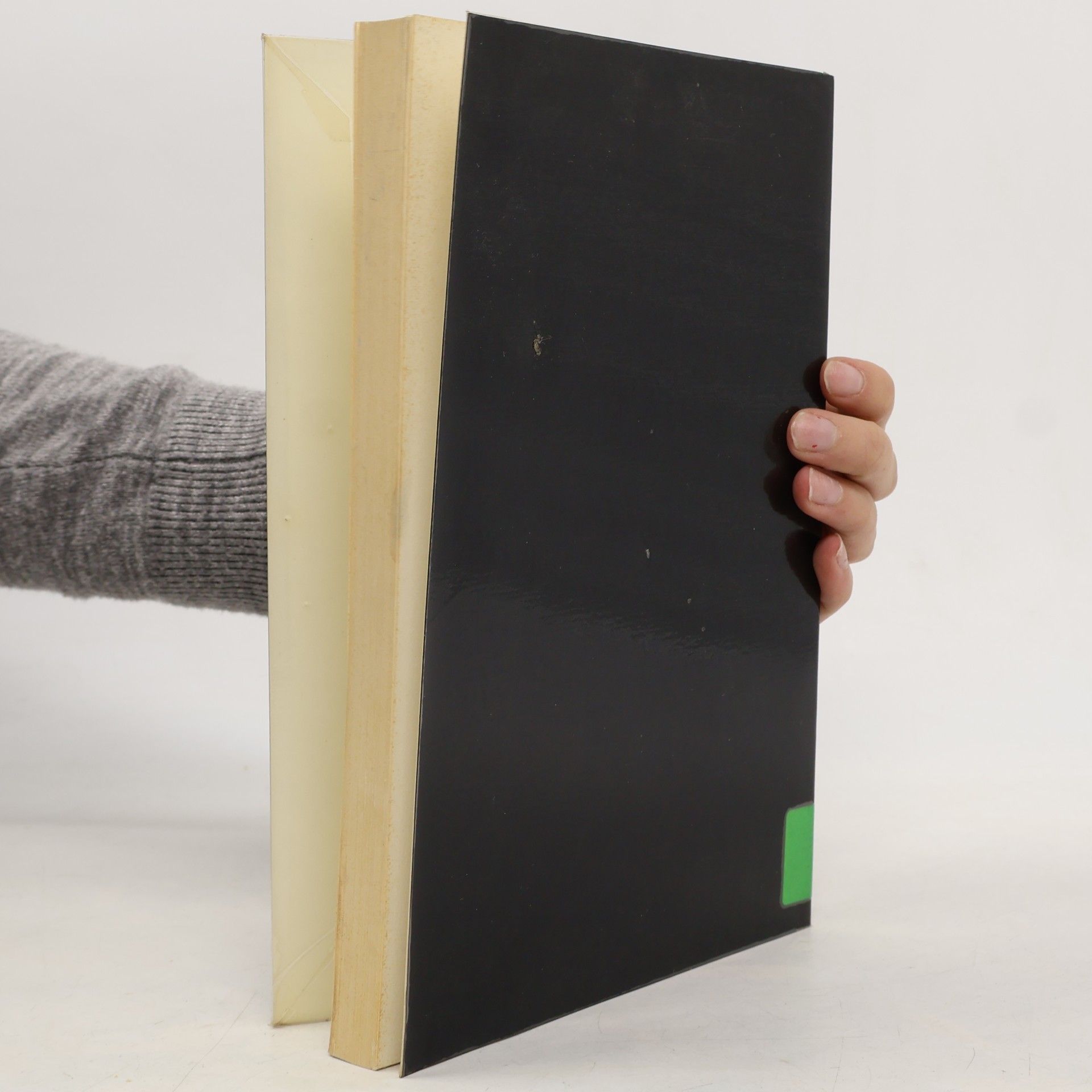 Georg H. Milbradt Schriften zur öffentlichen Verwaltung und öffentlichen Wirtschaft - 4: Ziele und Strategien des Debt Management