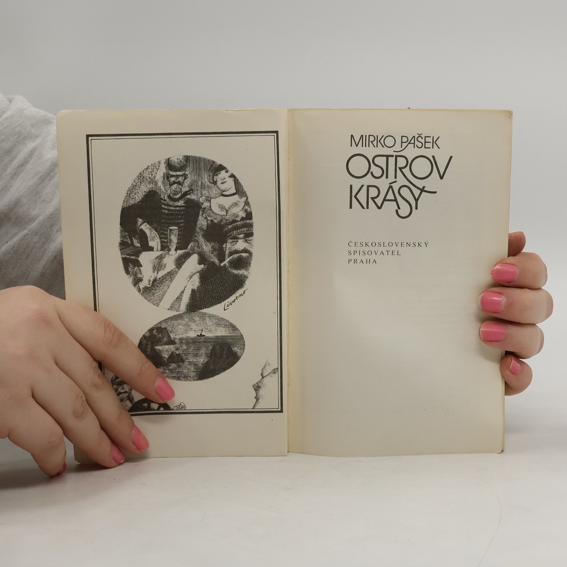 Mirko Pasek Ostrov krásy