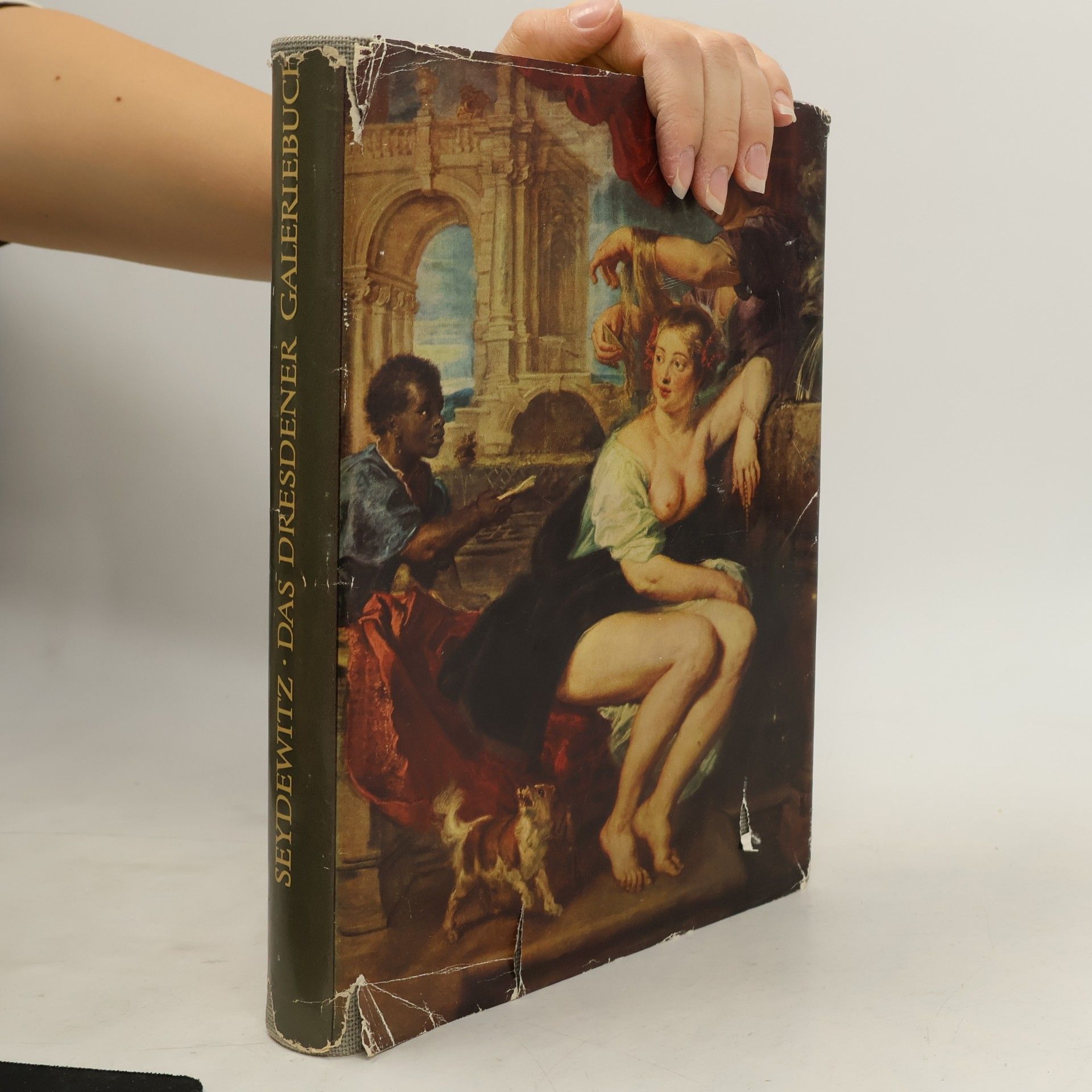 Das Dresdener Galeriebuch