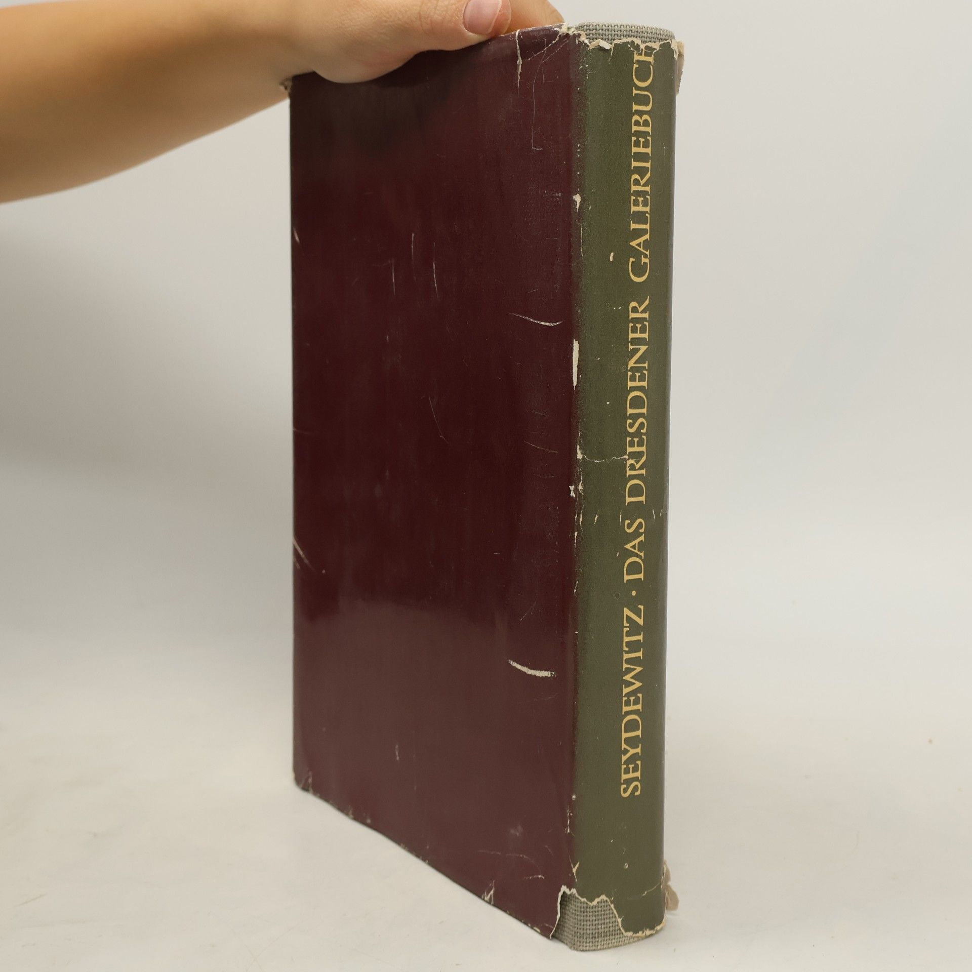 Seydewitz Das Dresdener Galeriebuch