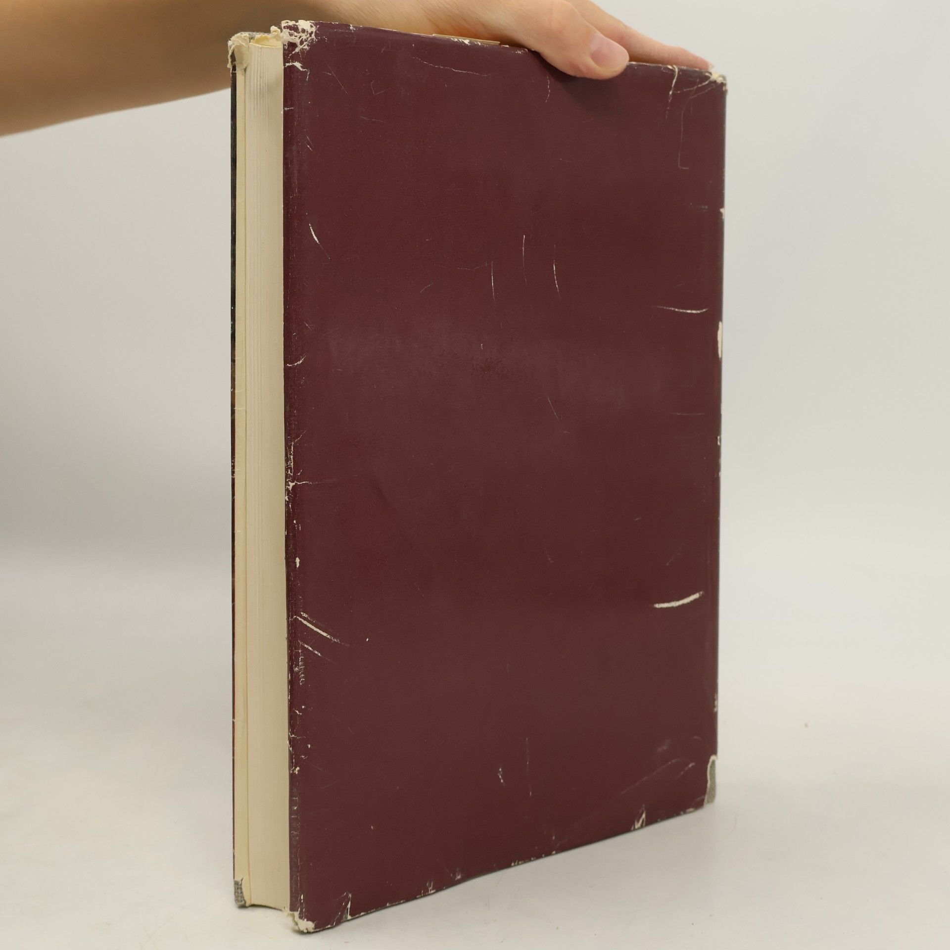Seydewitz Das Dresdener Galeriebuch