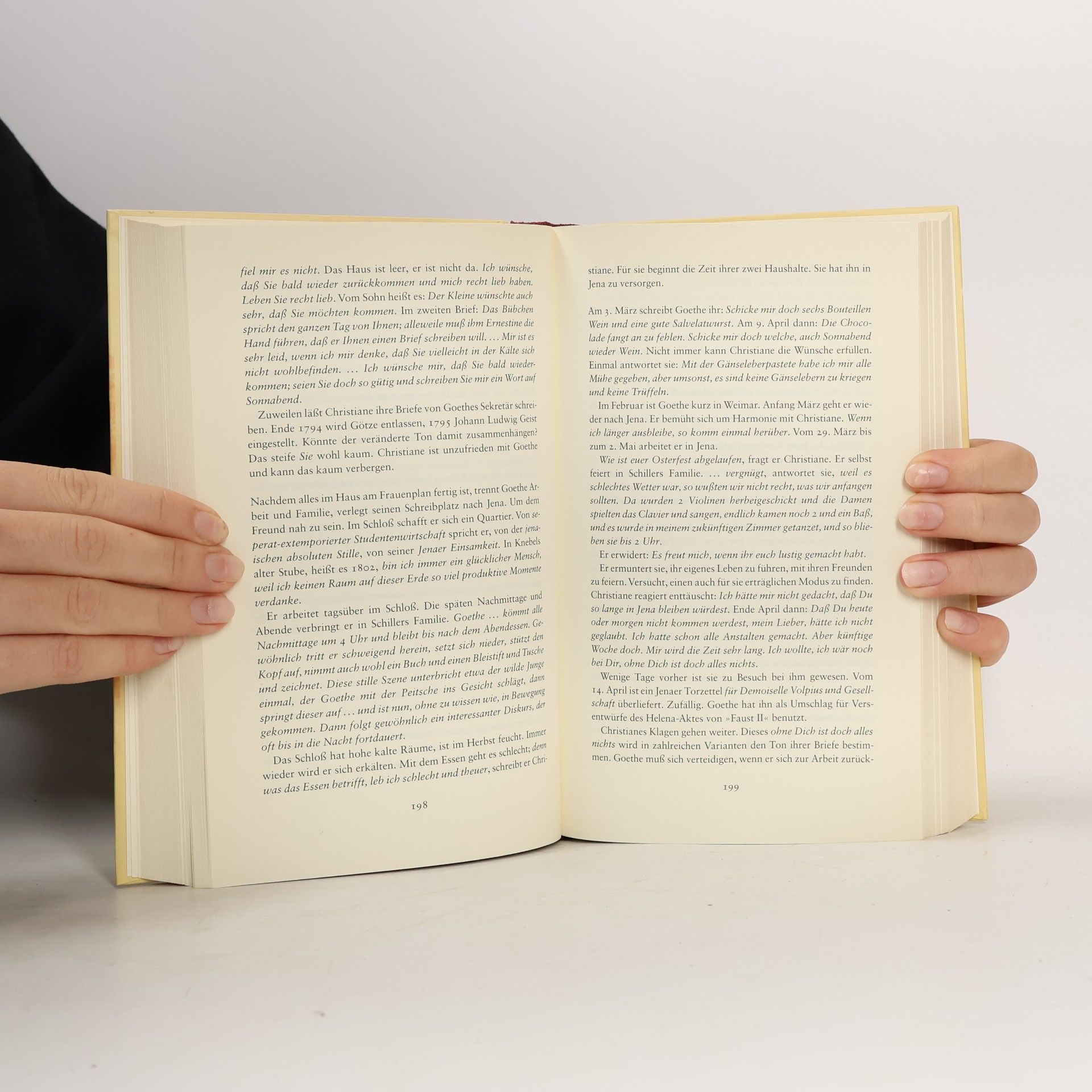 Sigrid Damm Christiane und Goethe