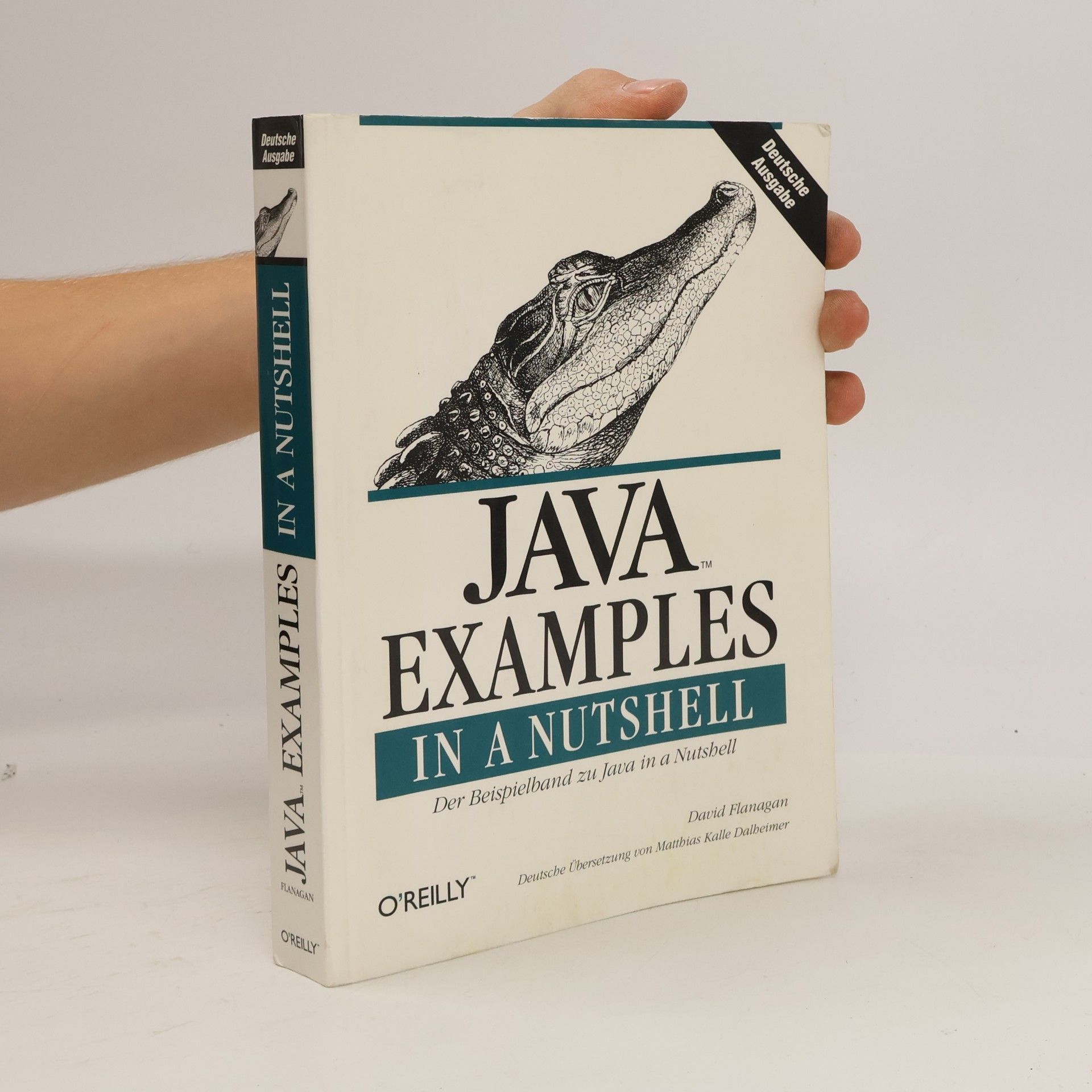 Java examples in a nutshell