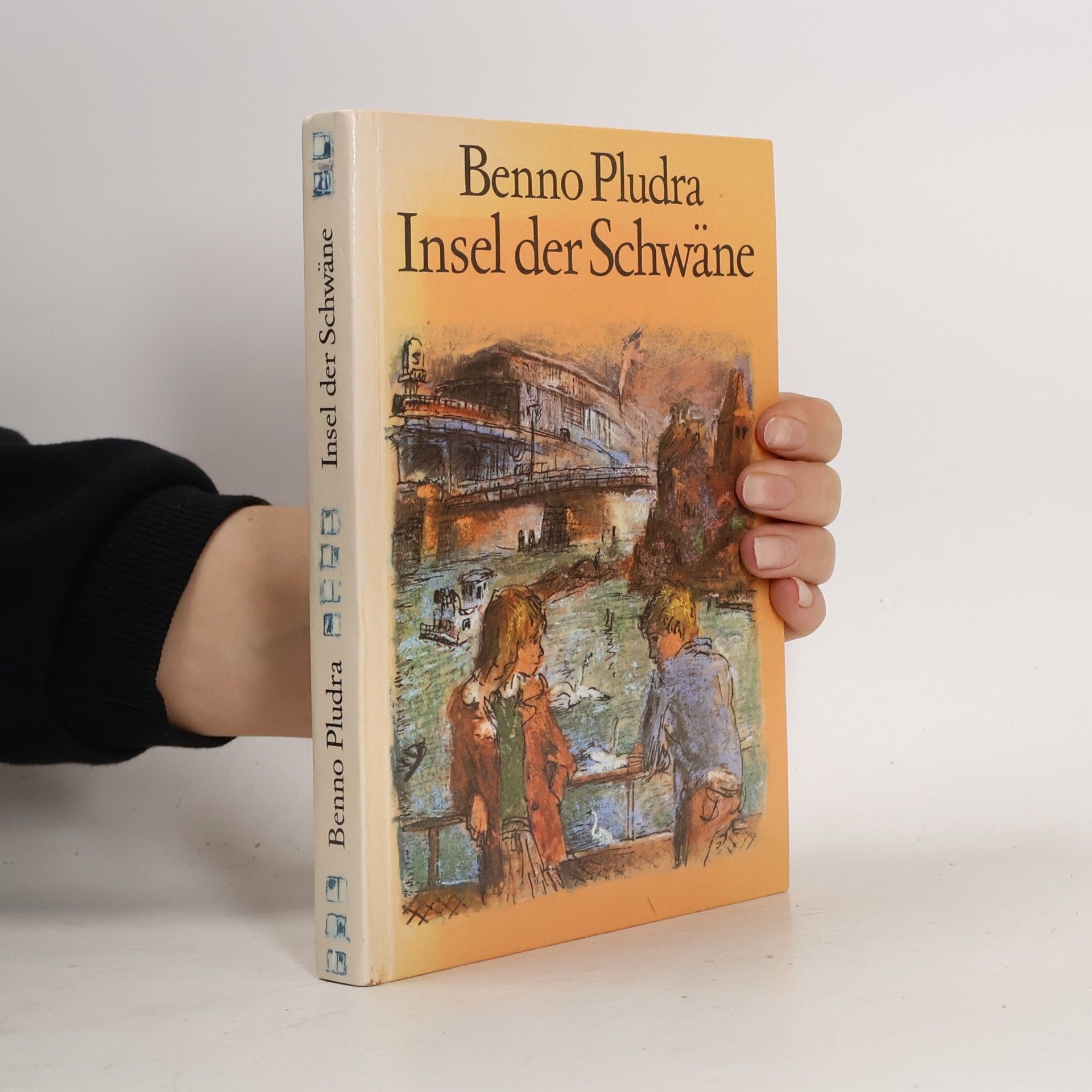 Insel der Schwäne