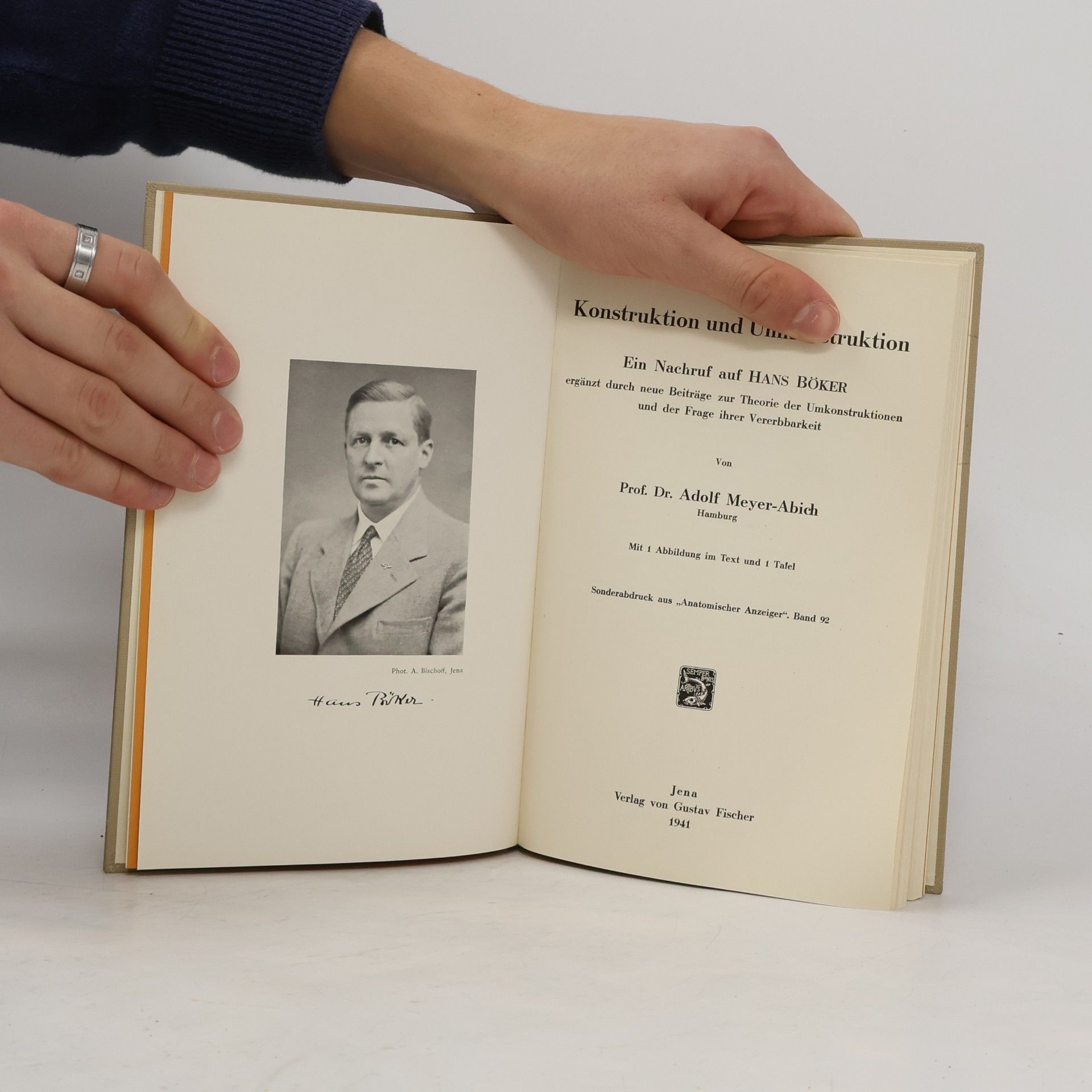 Adolf Meyer Abich Konstruktion und Umkonstruktion