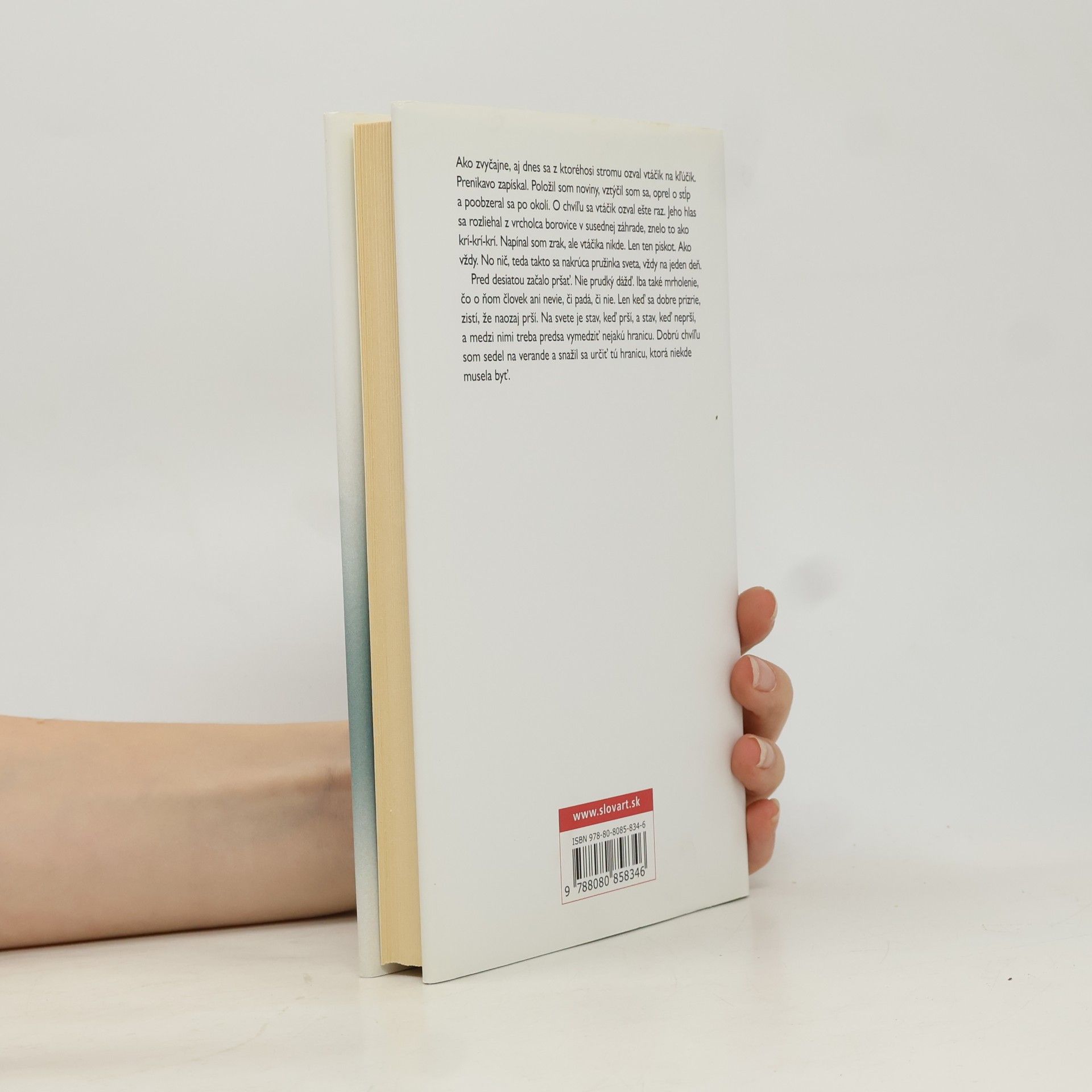 Haruki Murakami Kronika vtáčika na kľúčik I. Straka zlodejka