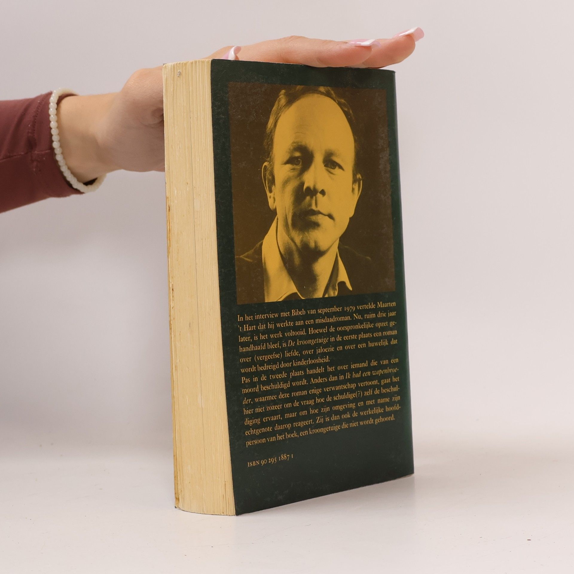 Maarten 't Hart De kroongetuige