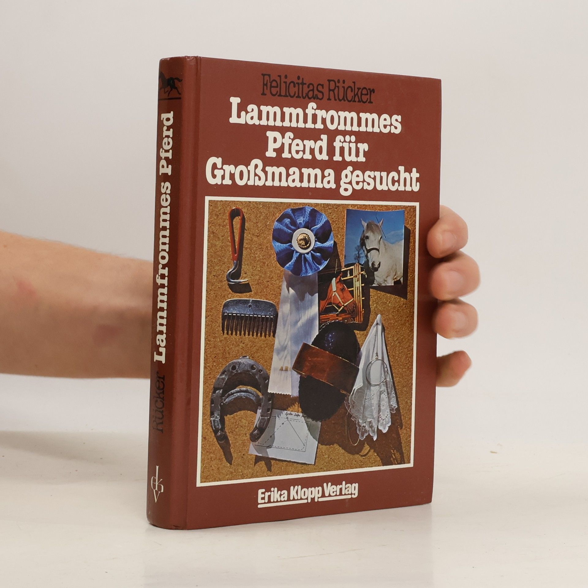 Lammfrommes Pferd für Großmama gesucht