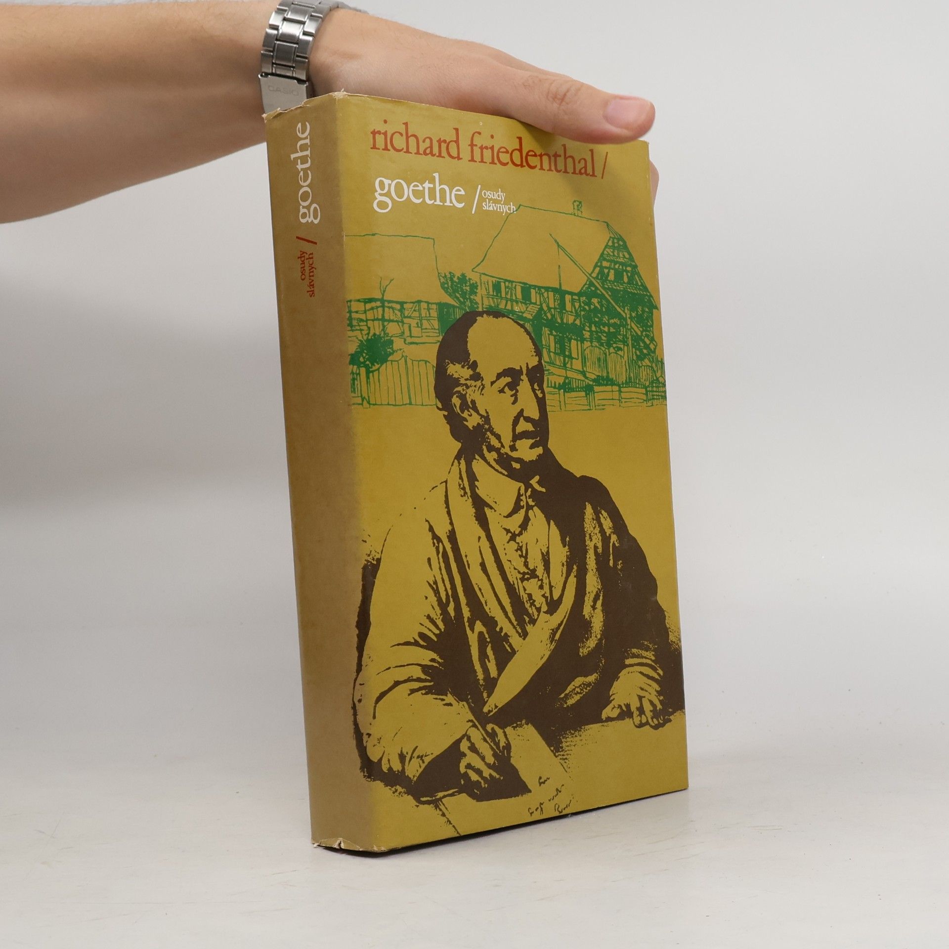 Goethe. Osudy slávnych