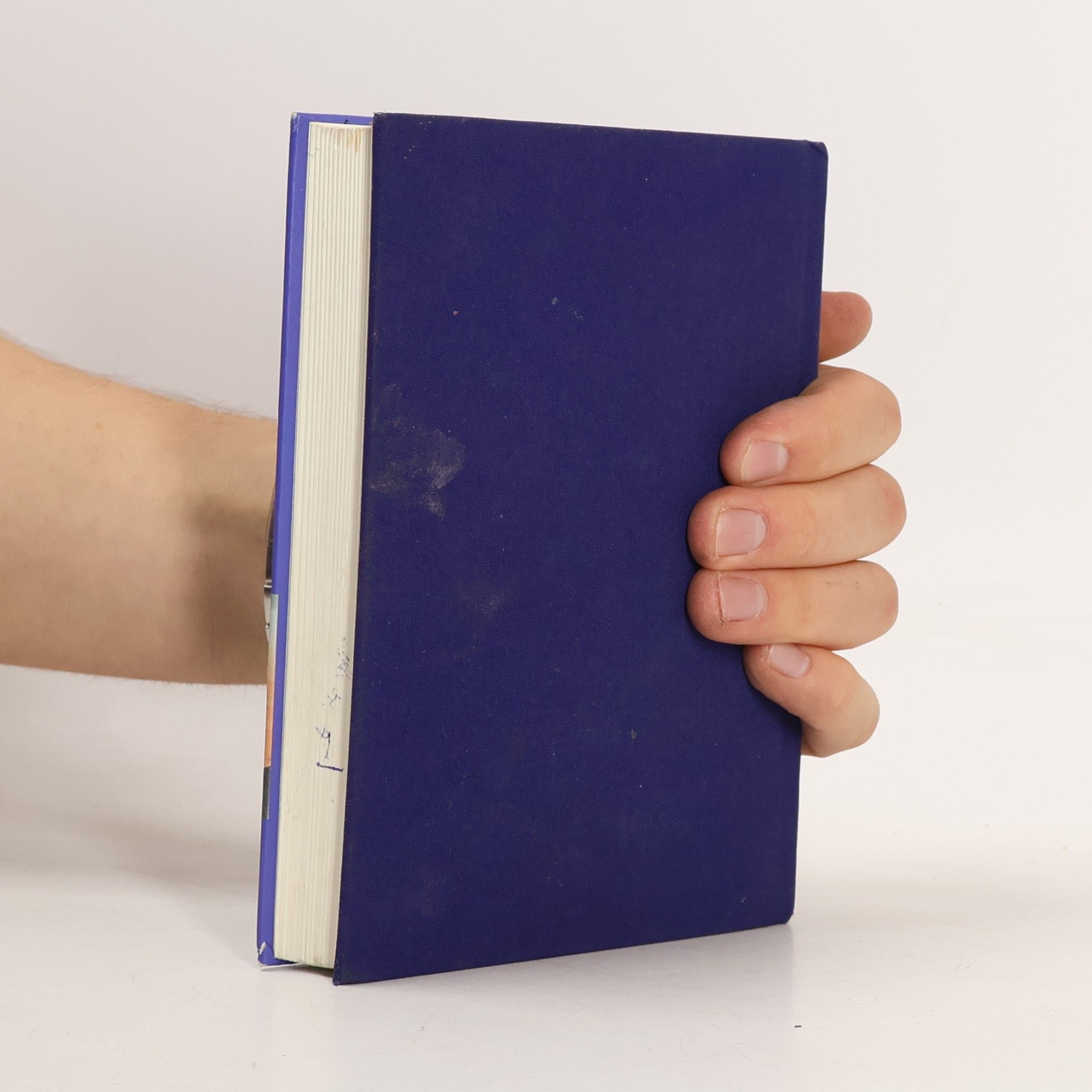 Gerald Faschingeder Religion und Entwicklung